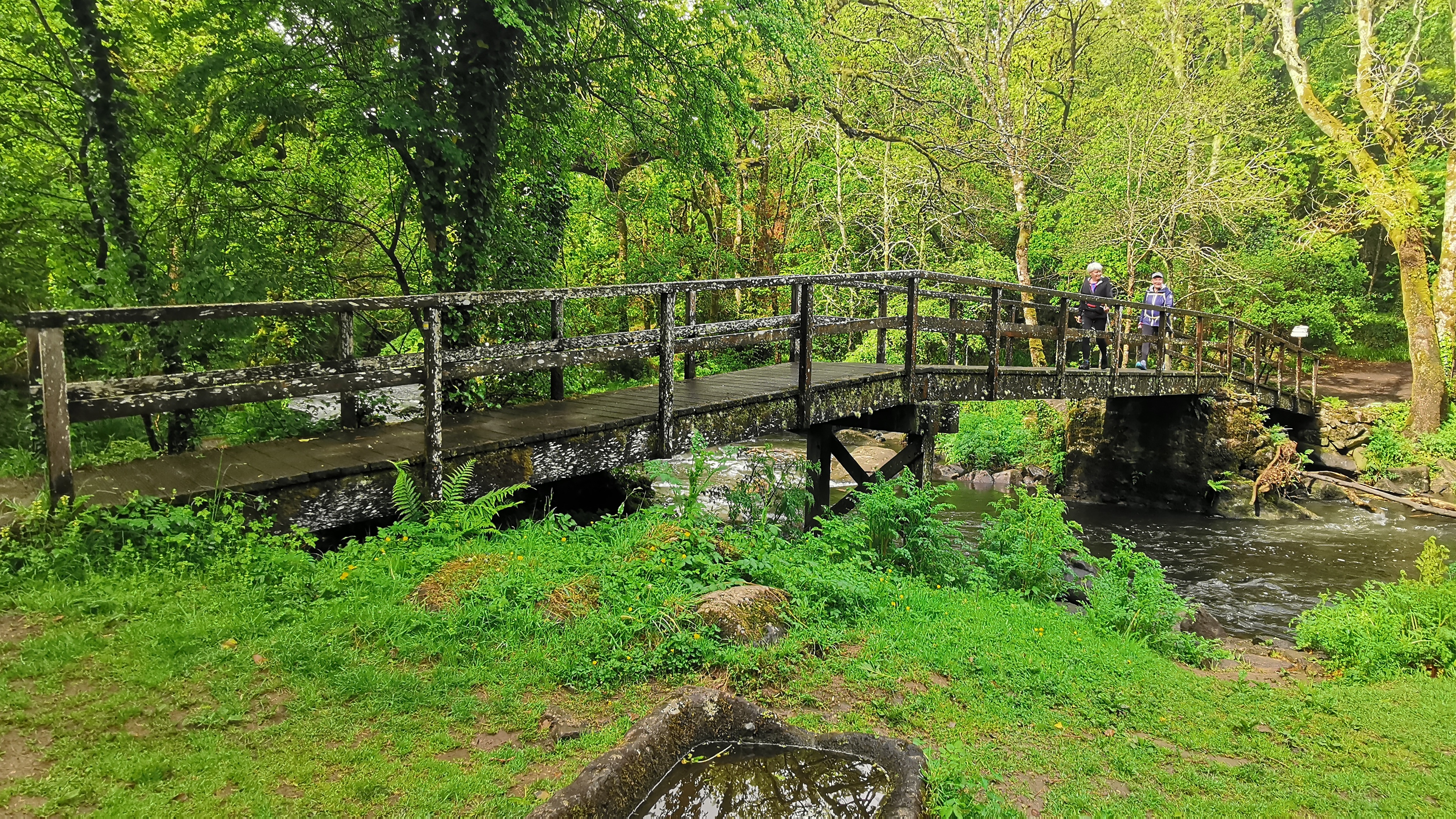 056-IMG_20210513_103157