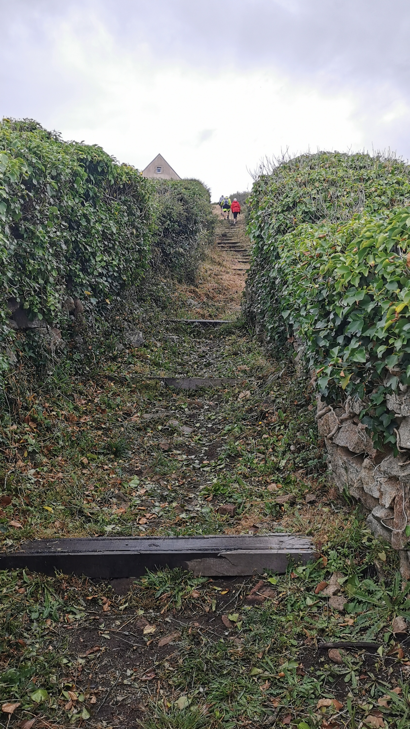 057-IMG_20210620_101042_1