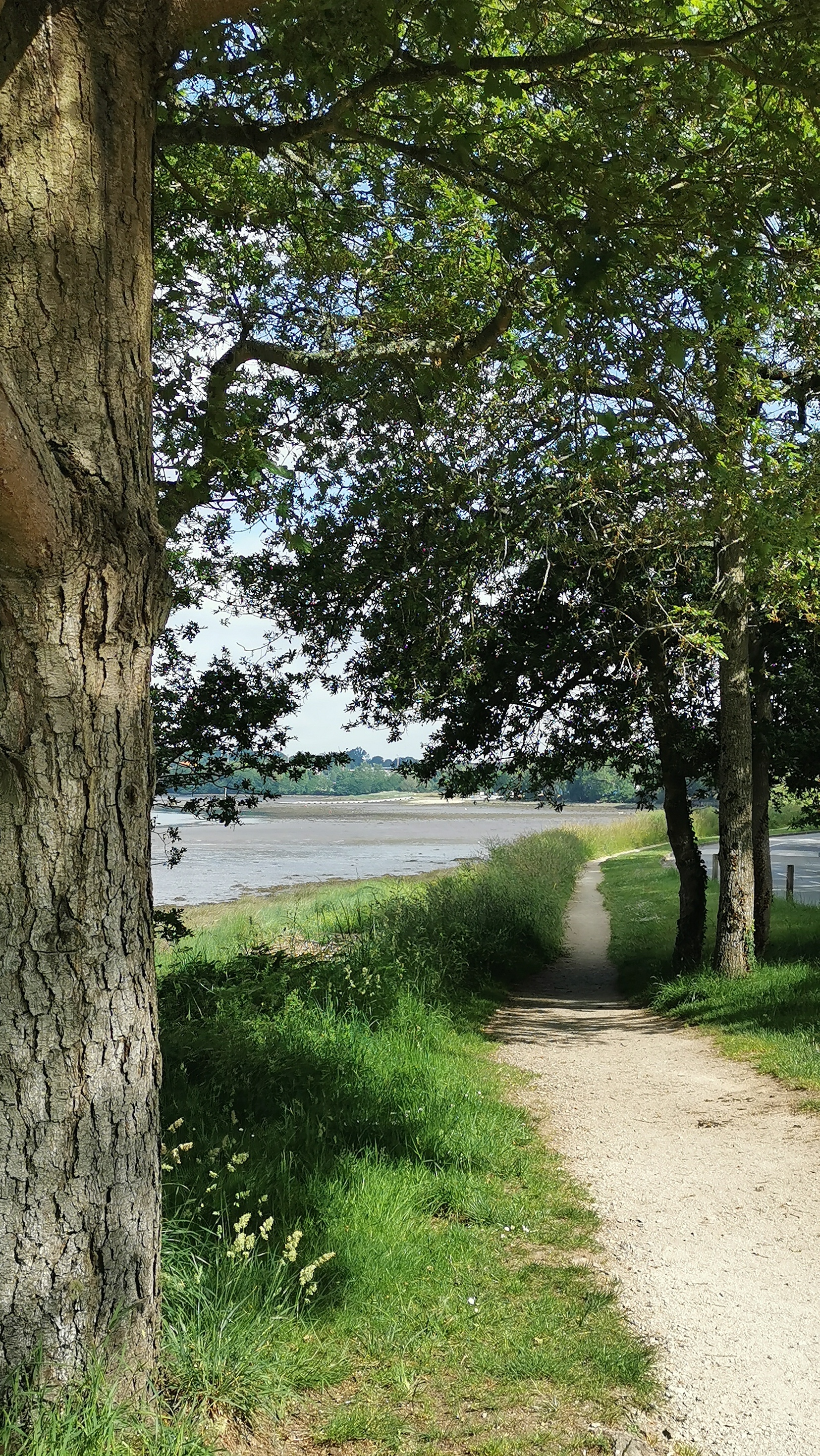 20-IMG_20210608_105948