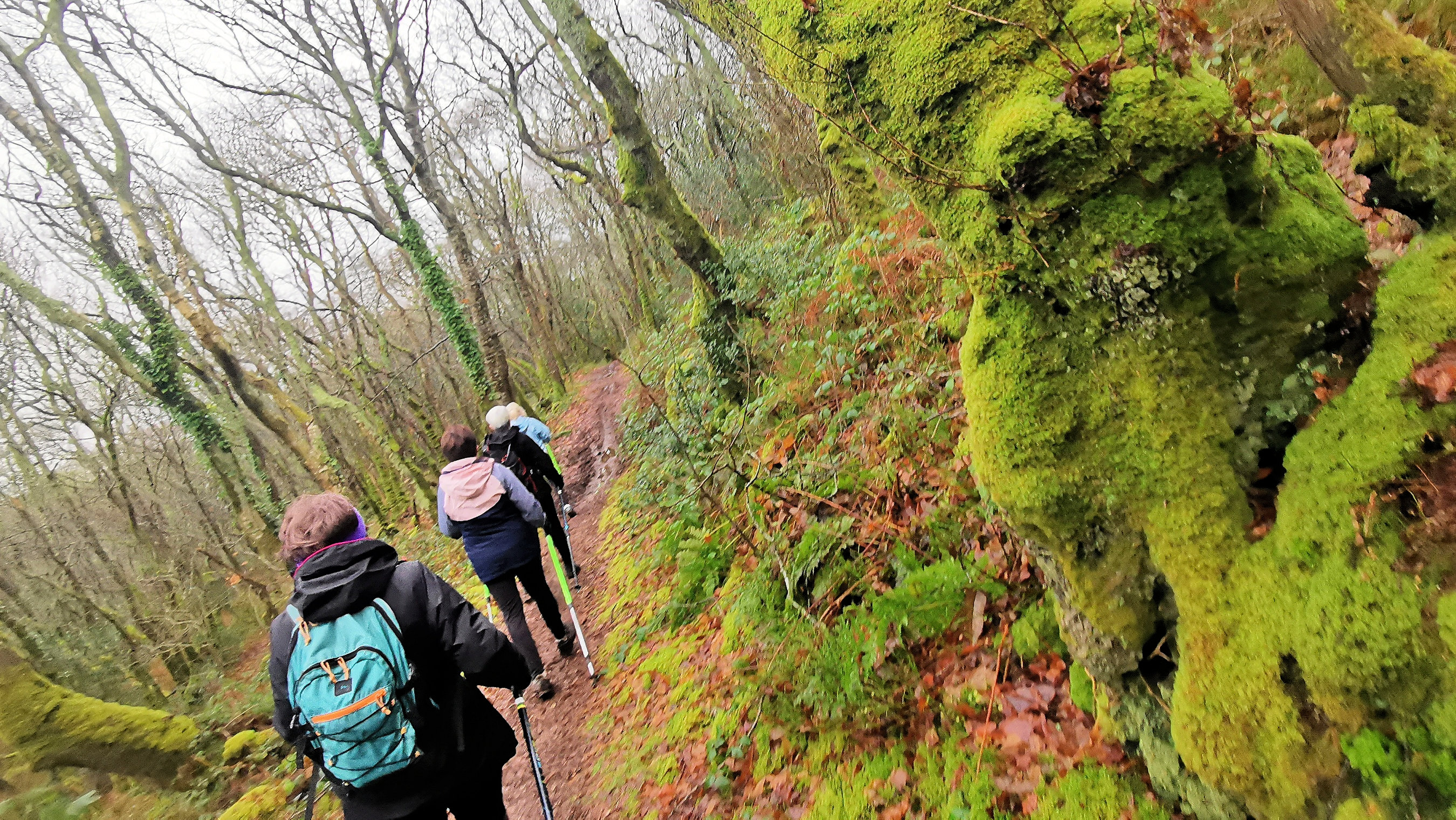 08-IMG_20210119_102308