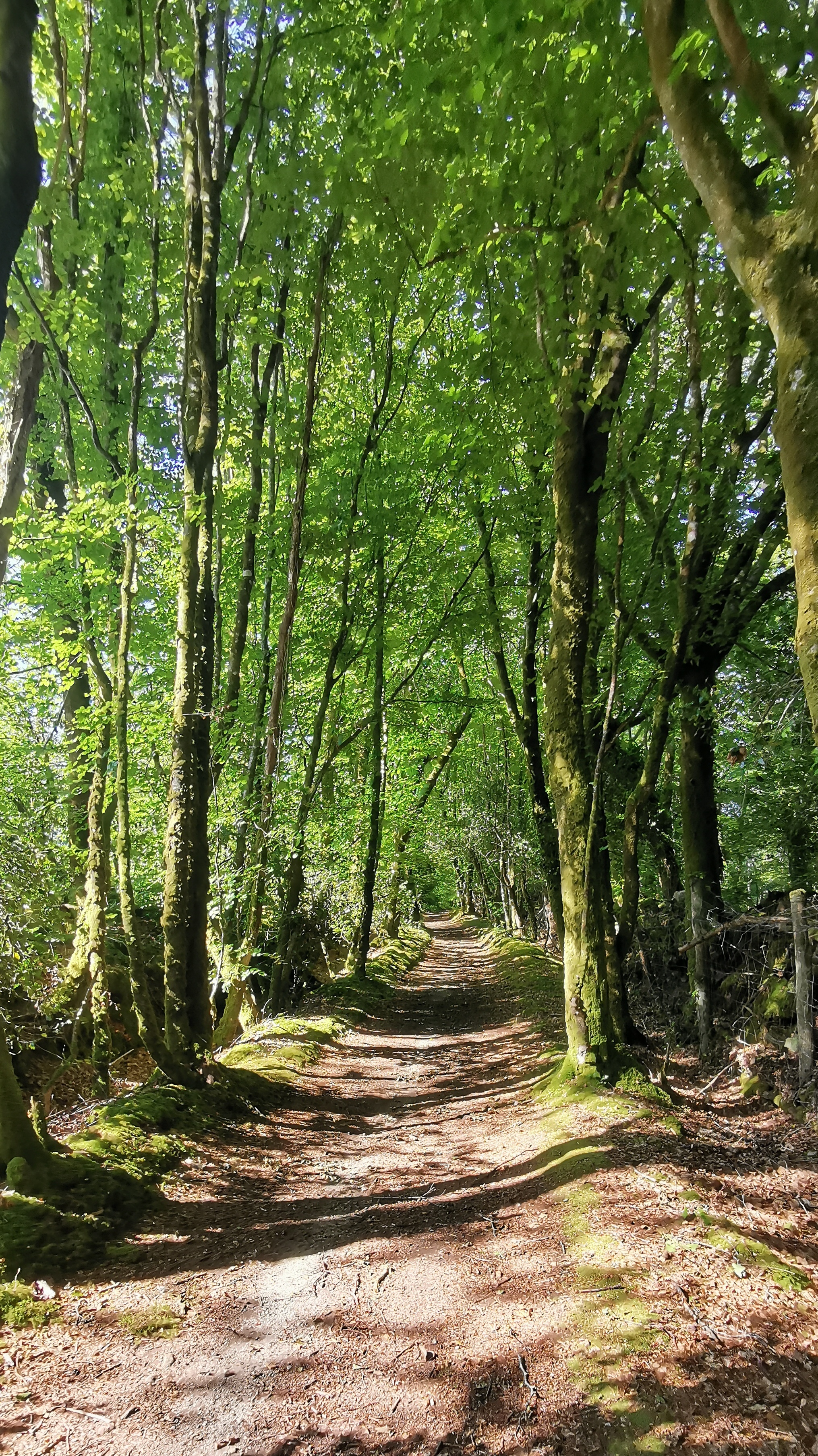 16-IMG_20210531_103349