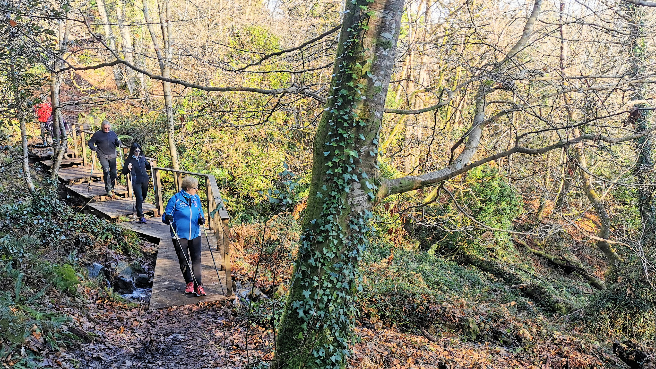 47-IMG_20210109_110531