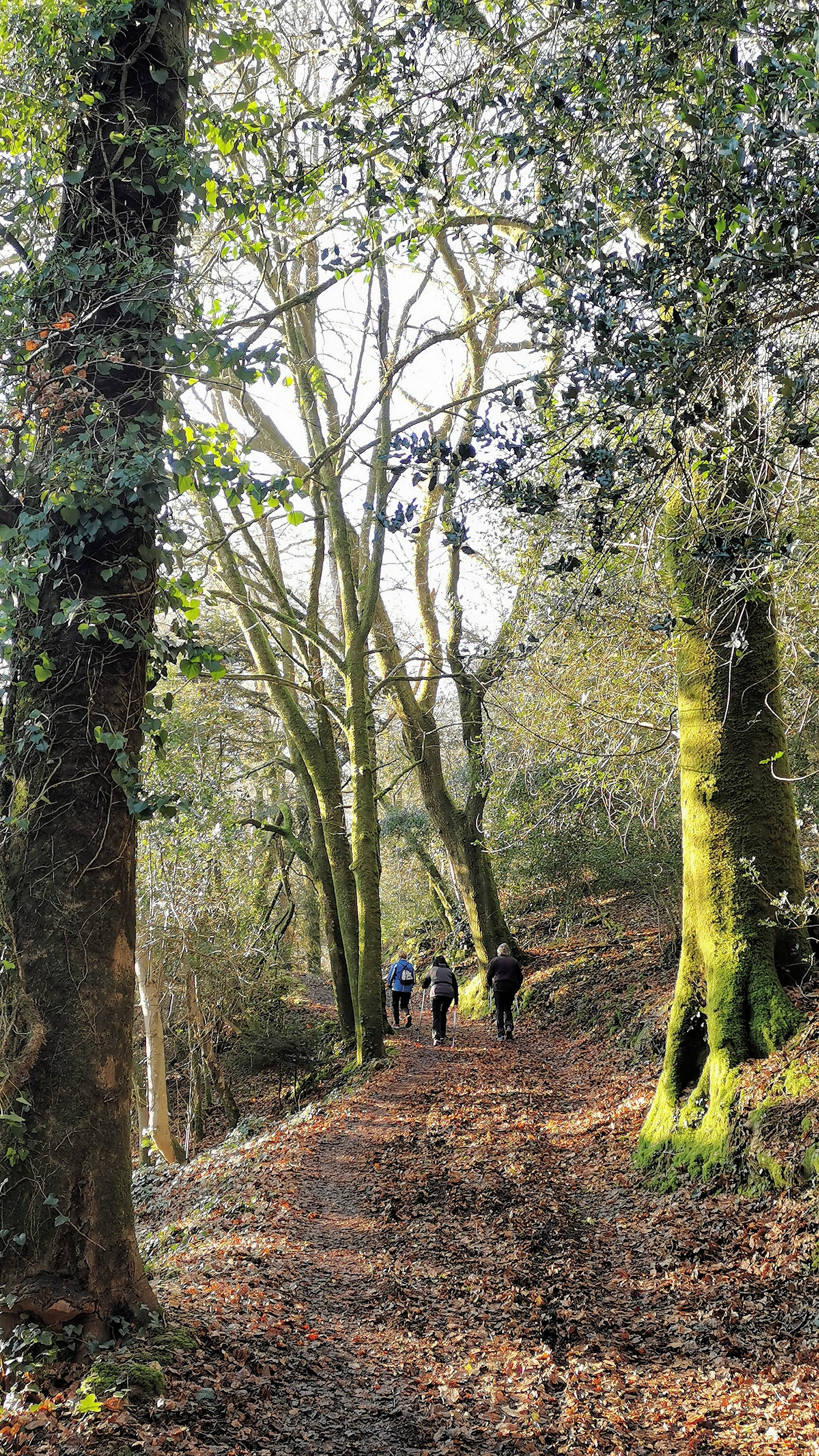 40-IMG_20210109_105855