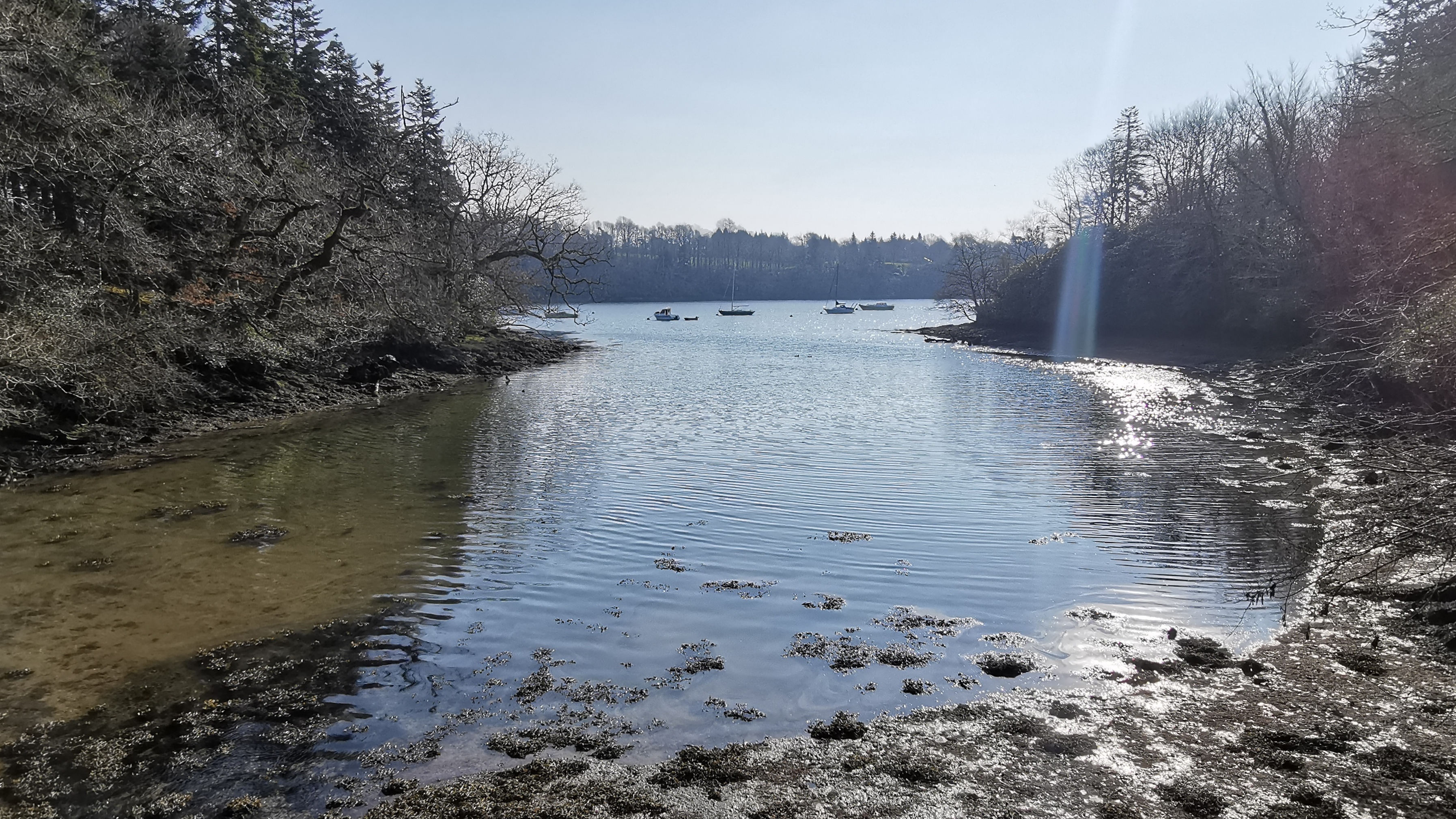 30-IMG_20210308_104646