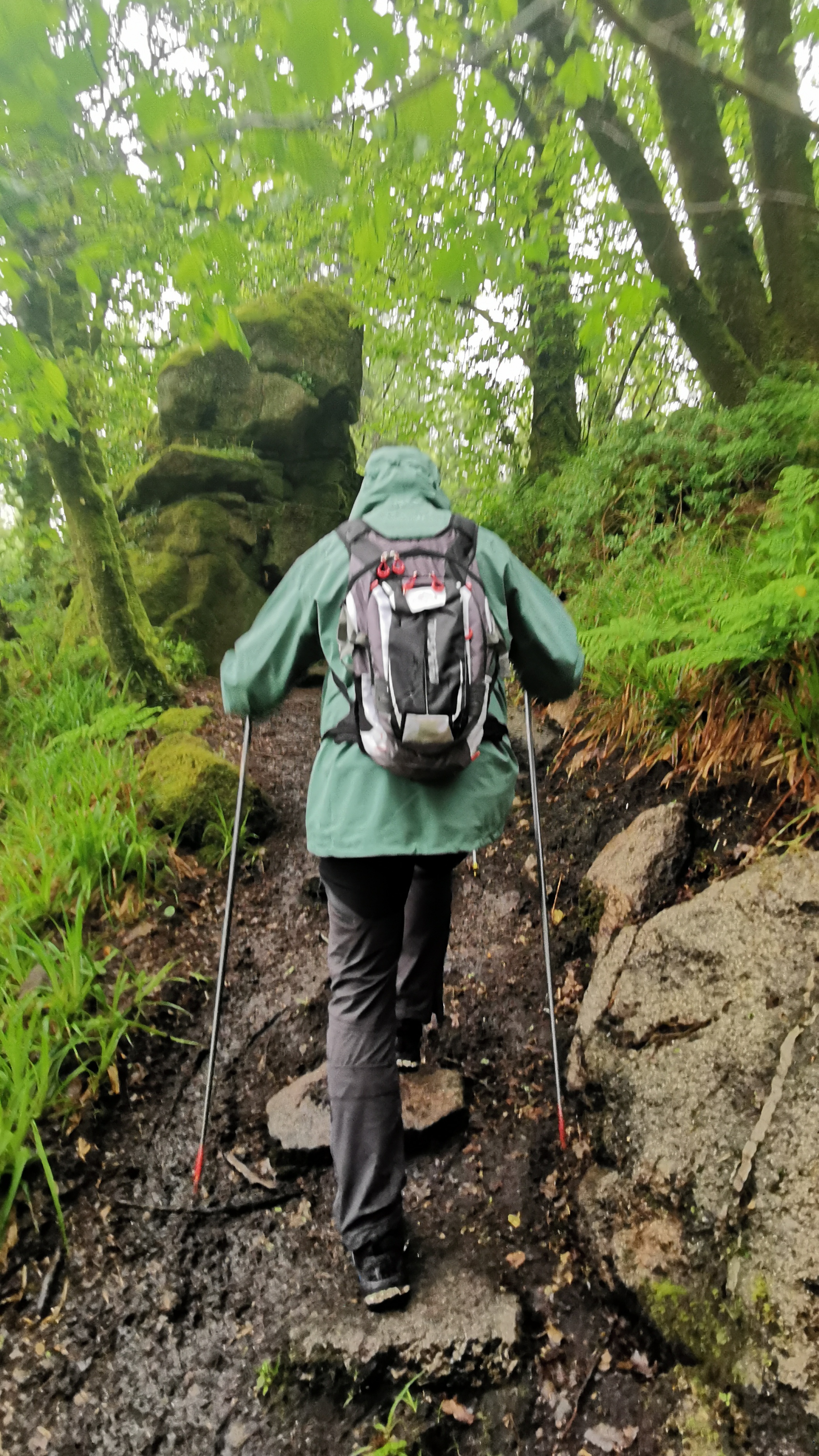 007-IMG_20210513_094231