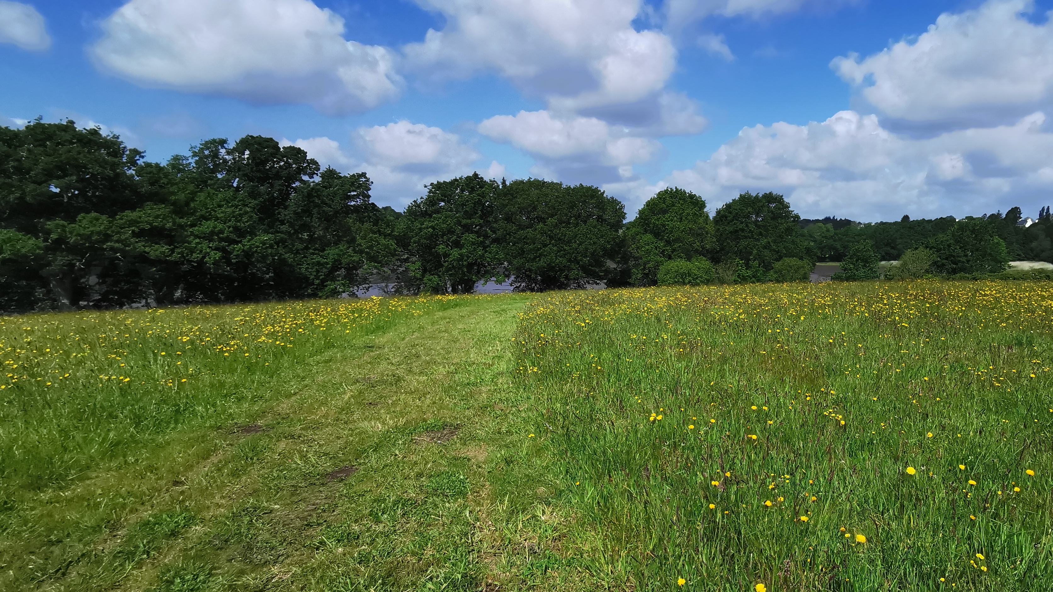 47-IMG_20210525_110755