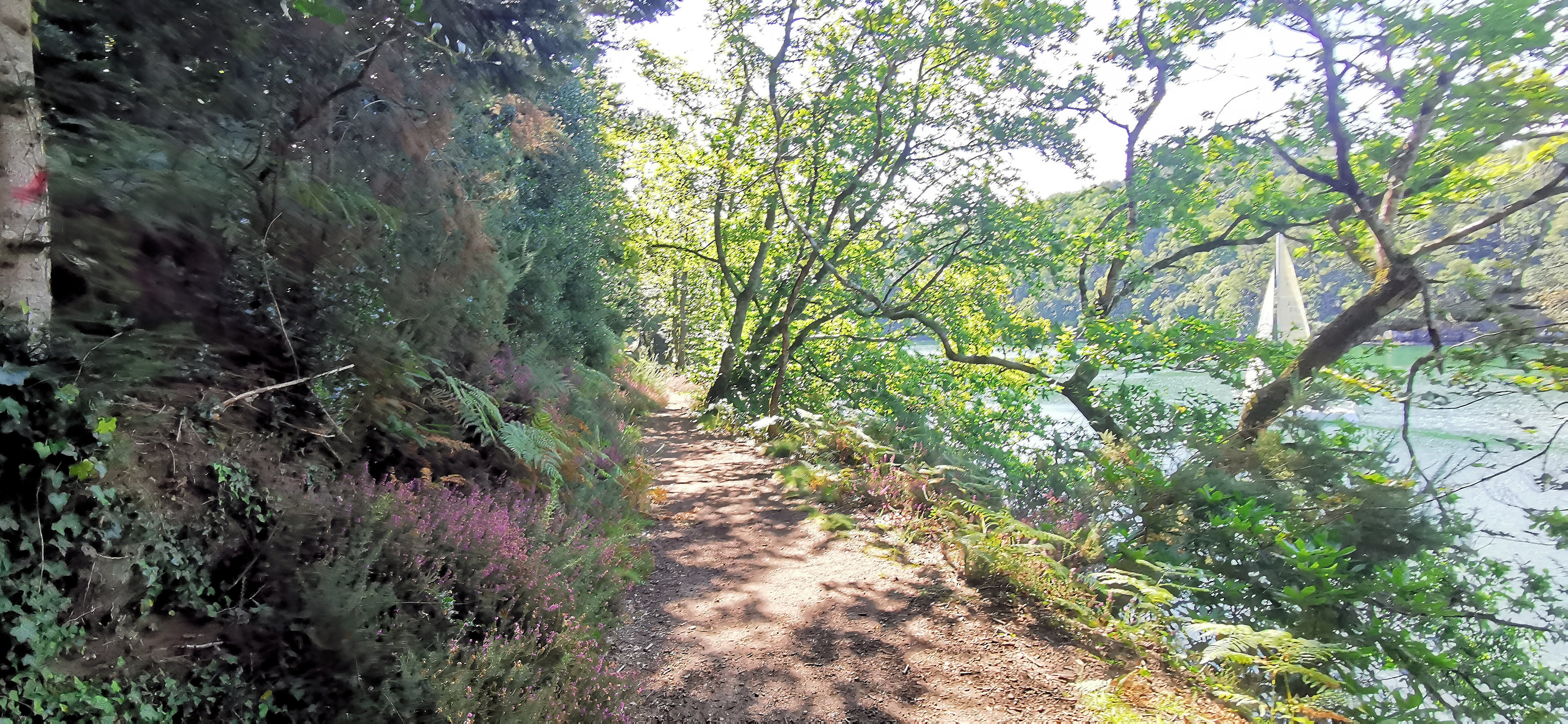 022-IMG_20210816_113105