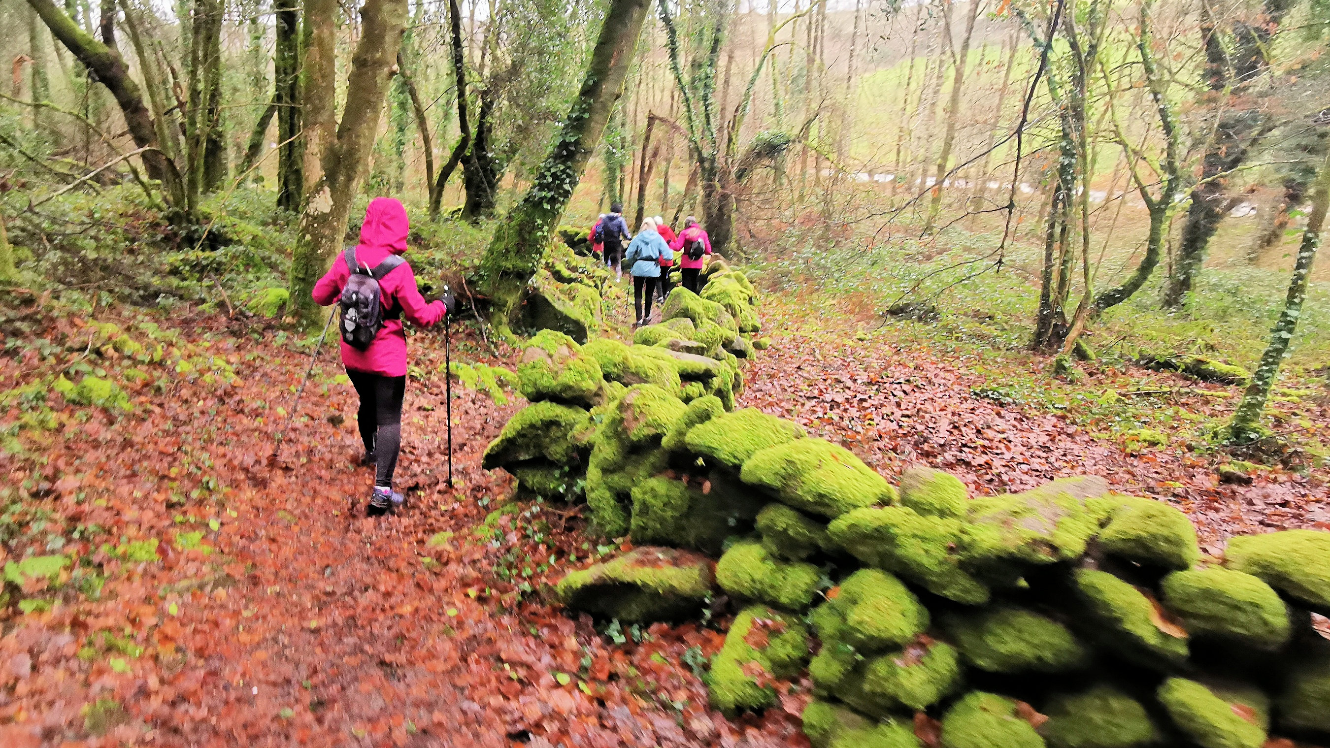 43-IMG_20210121_104134