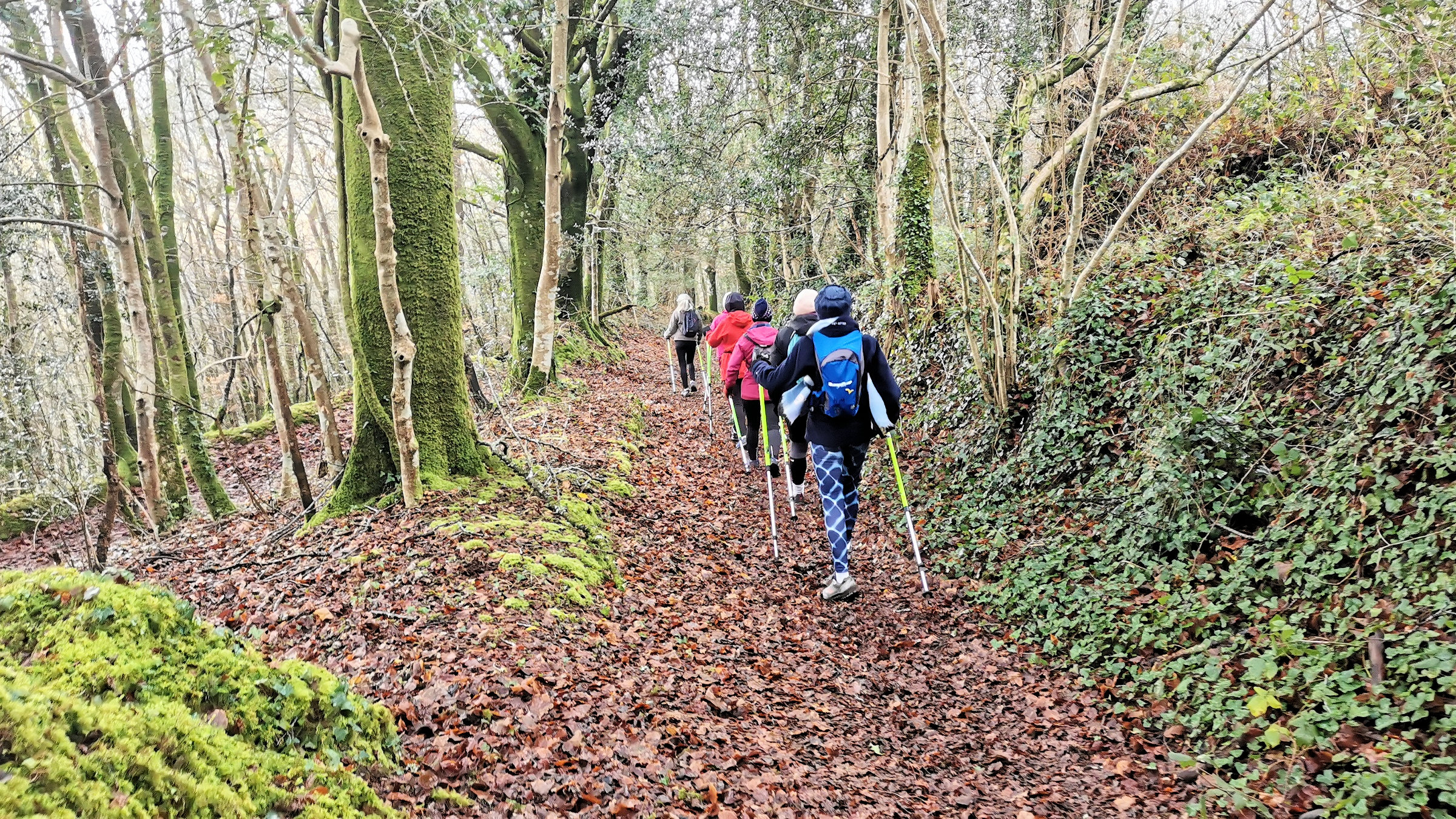 11-IMG_20210105_105040