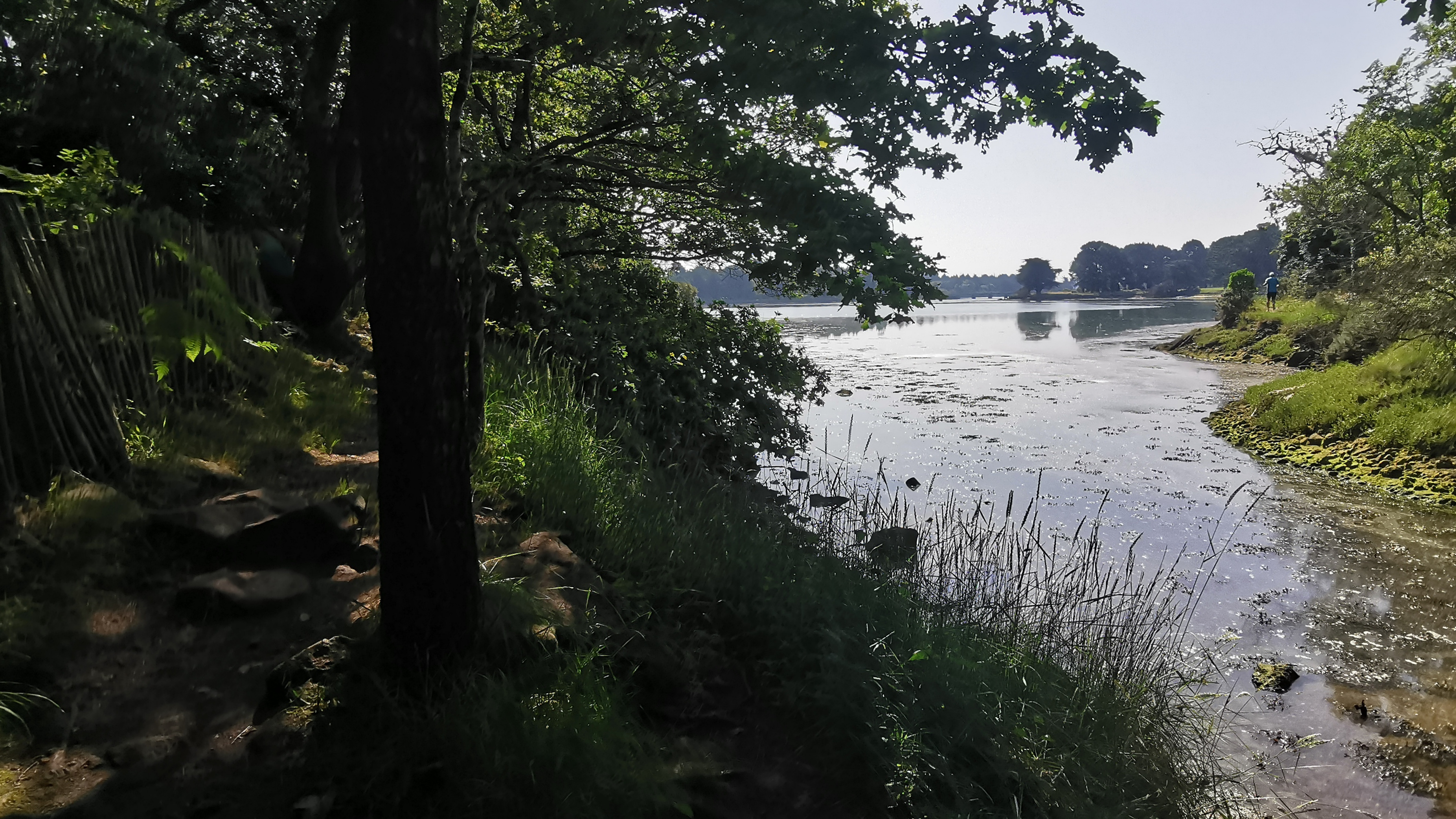 087-IMG_20210718_110800_1