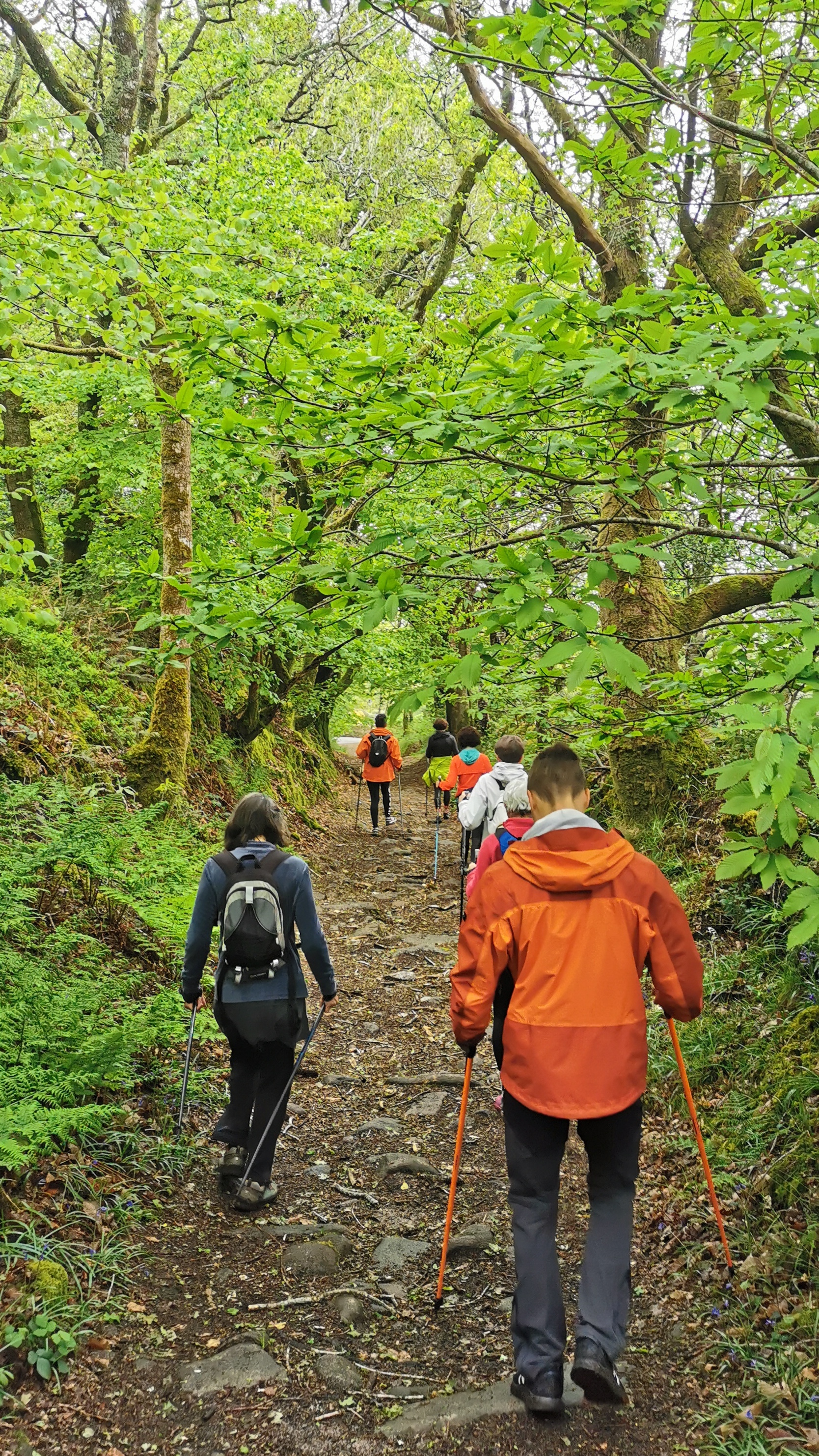 68-IMG_20210508_112919