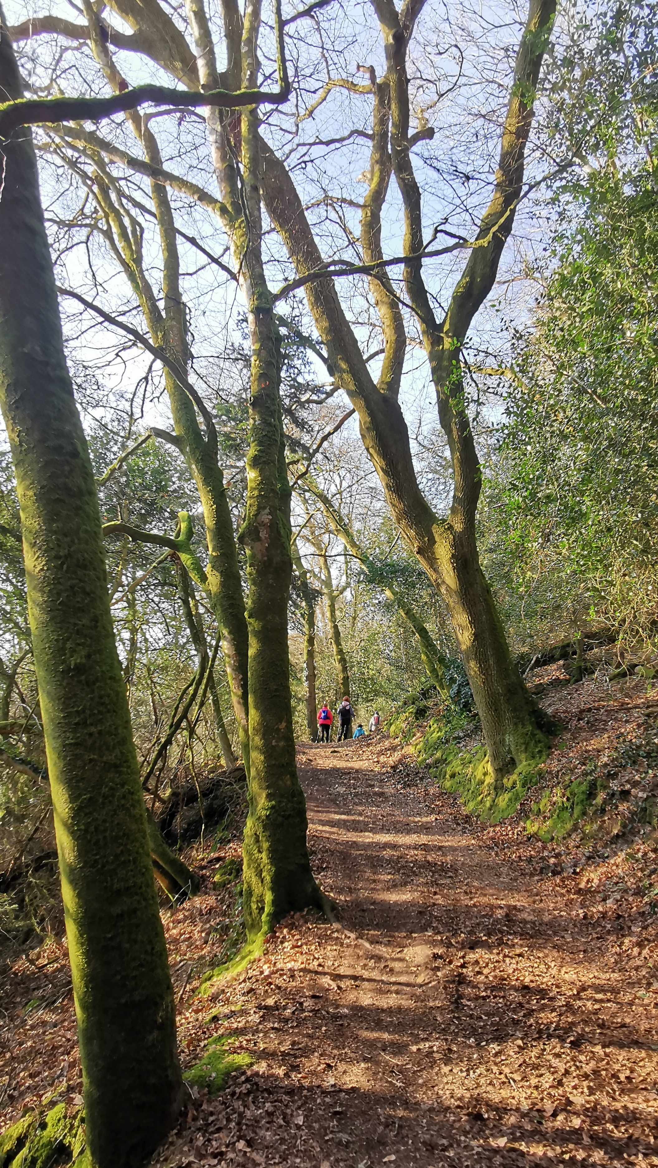 09-IMG_20210308_100254