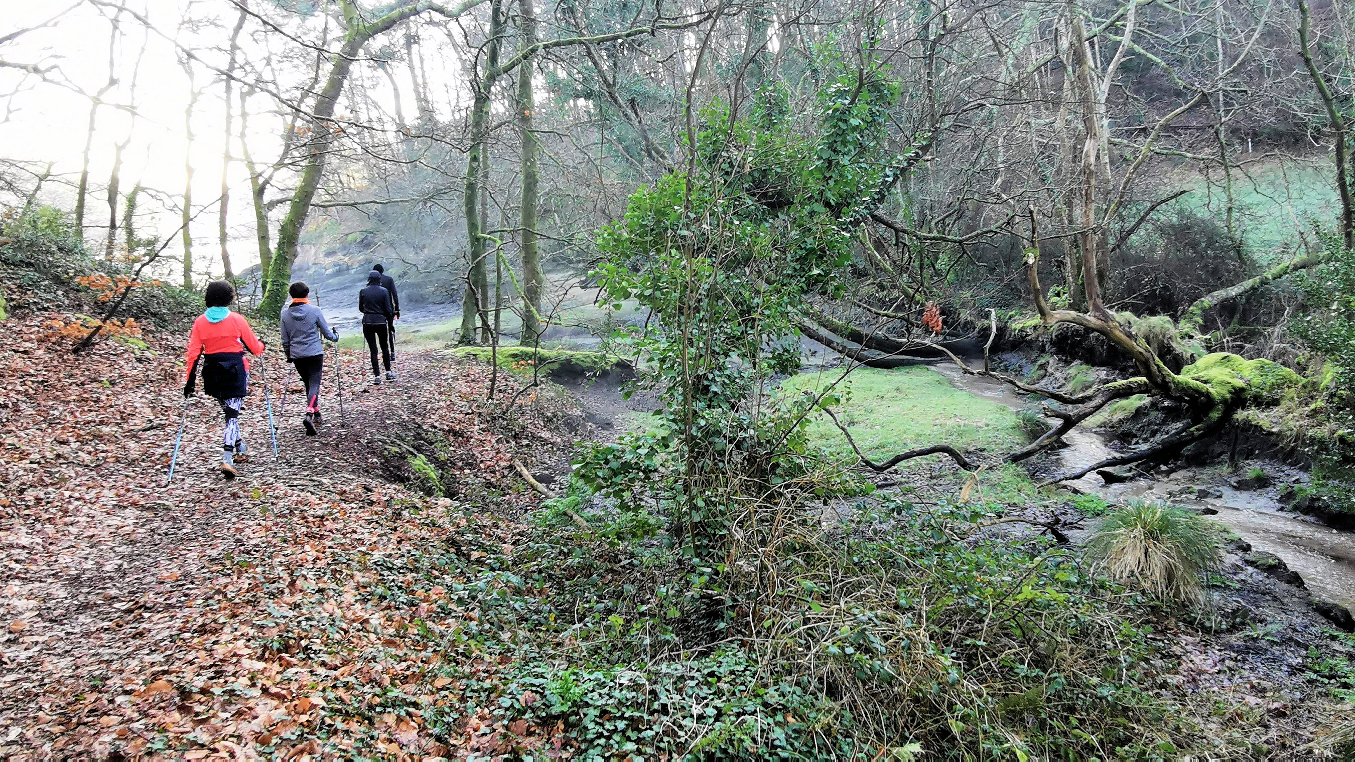 22-IMG_20210207_101839