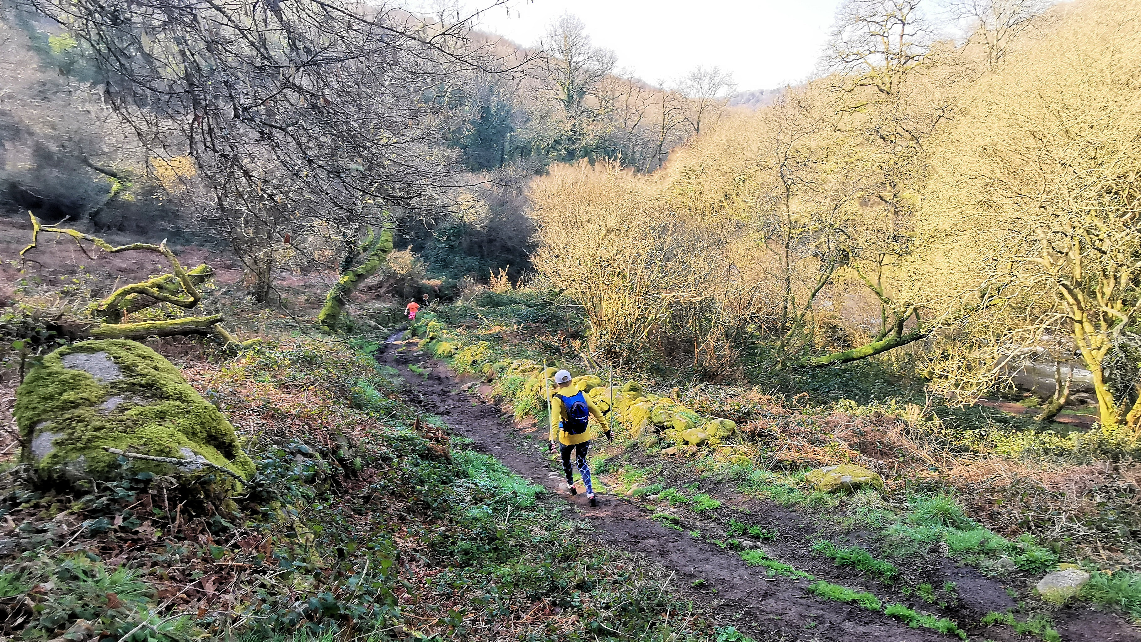 49-IMG_20210307_103905