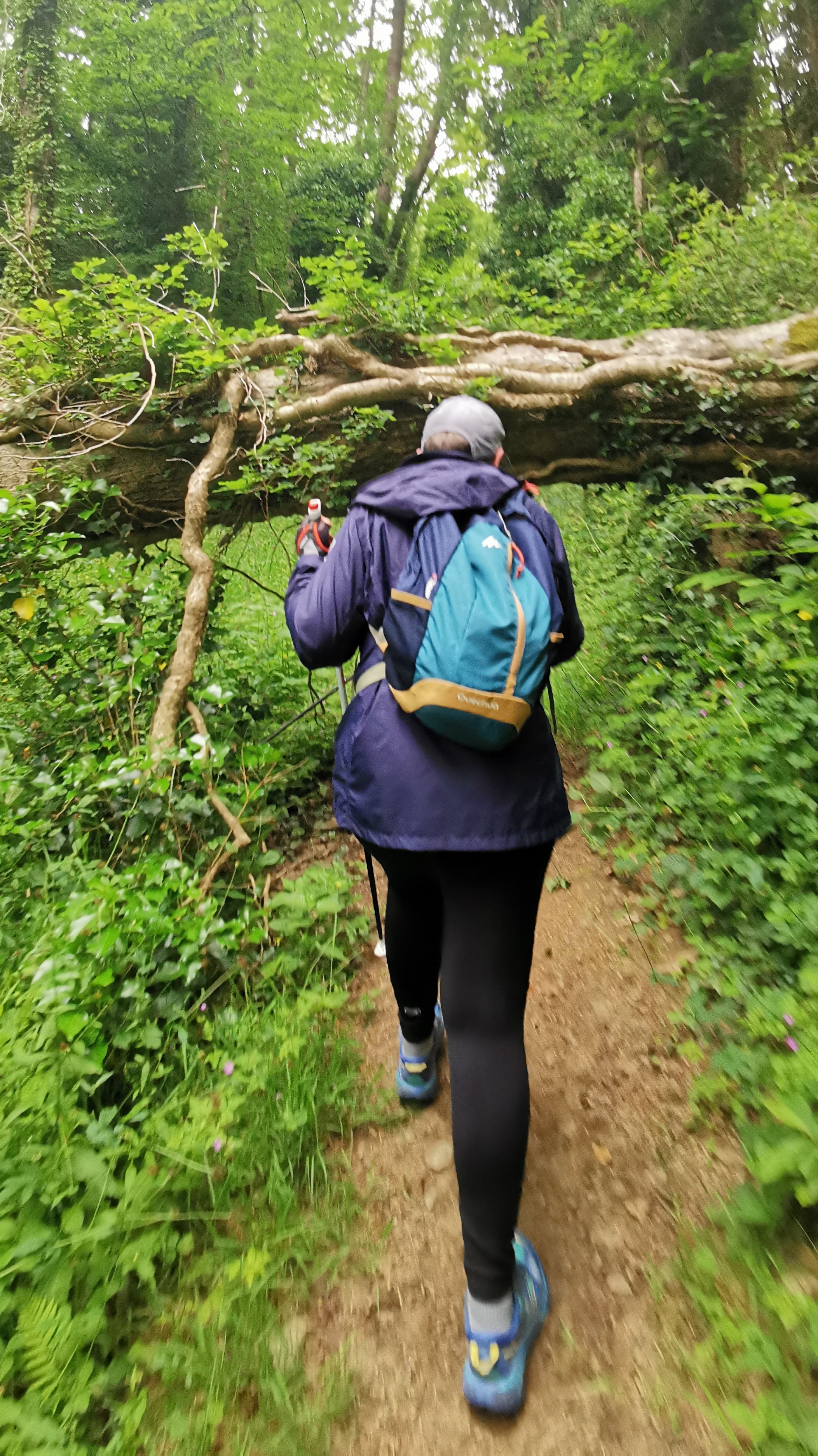 028-IMG_20210606_095450_1