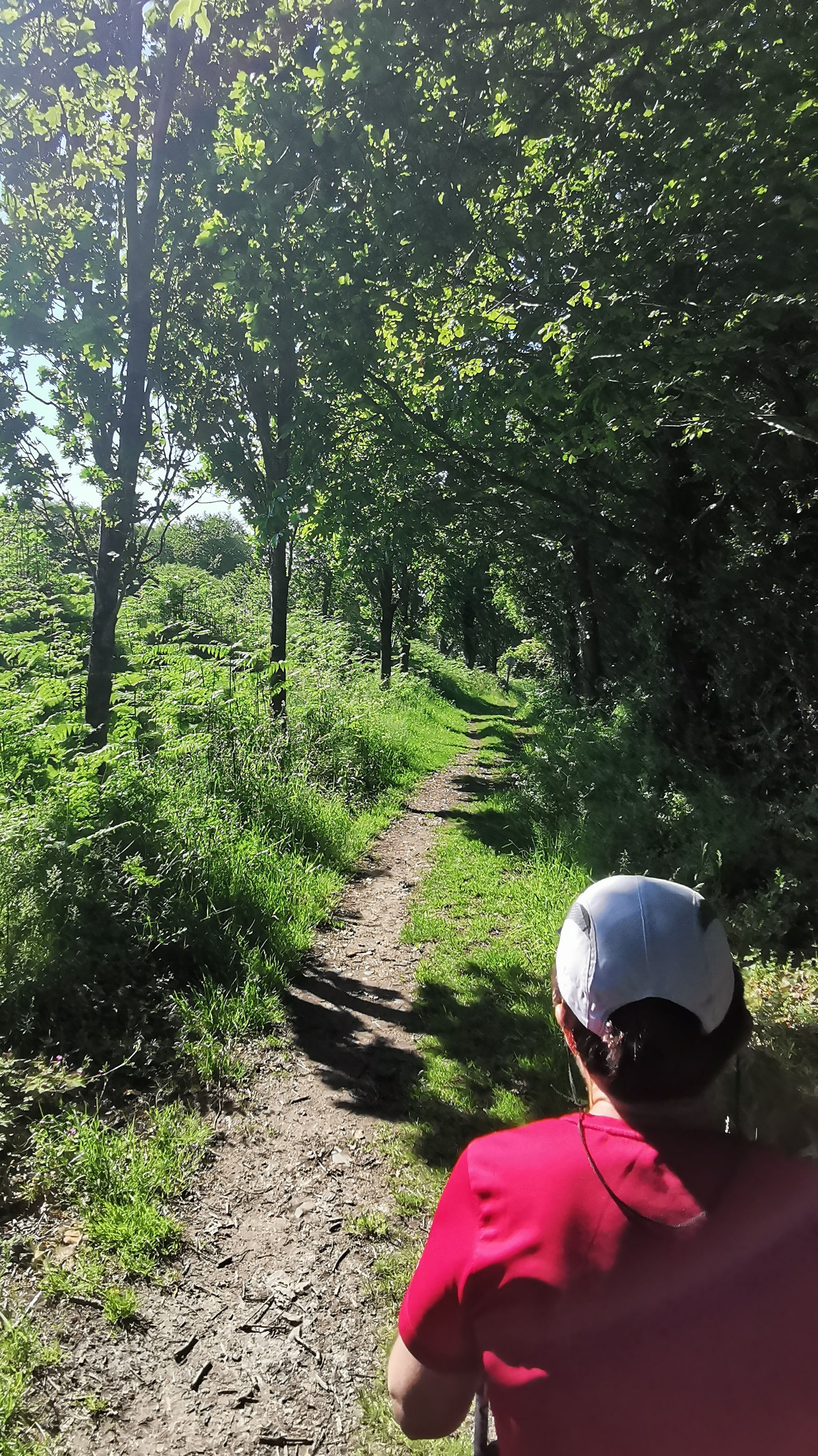 33-IMG_20210531_105236