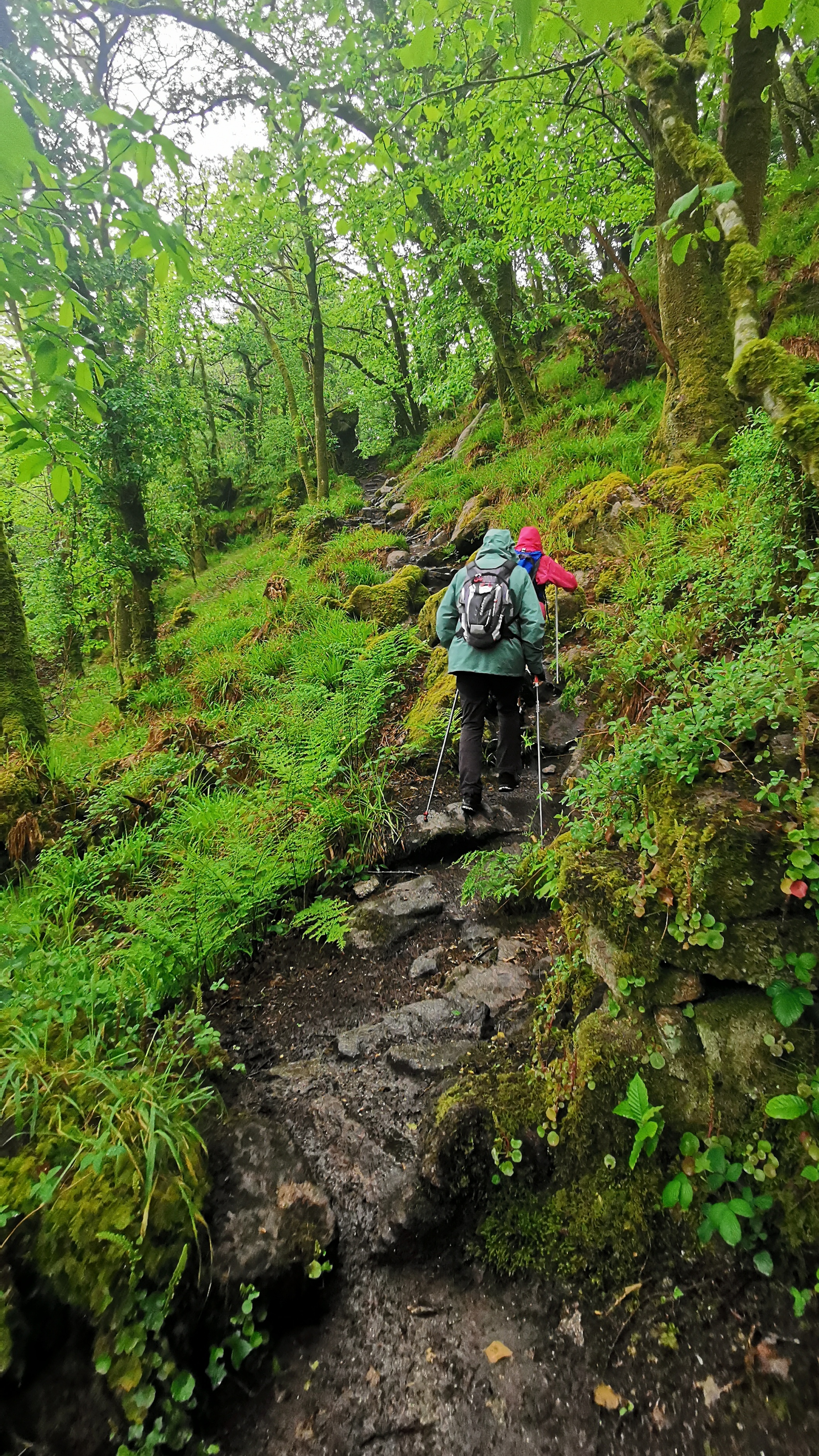 006-IMG_20210513_094149