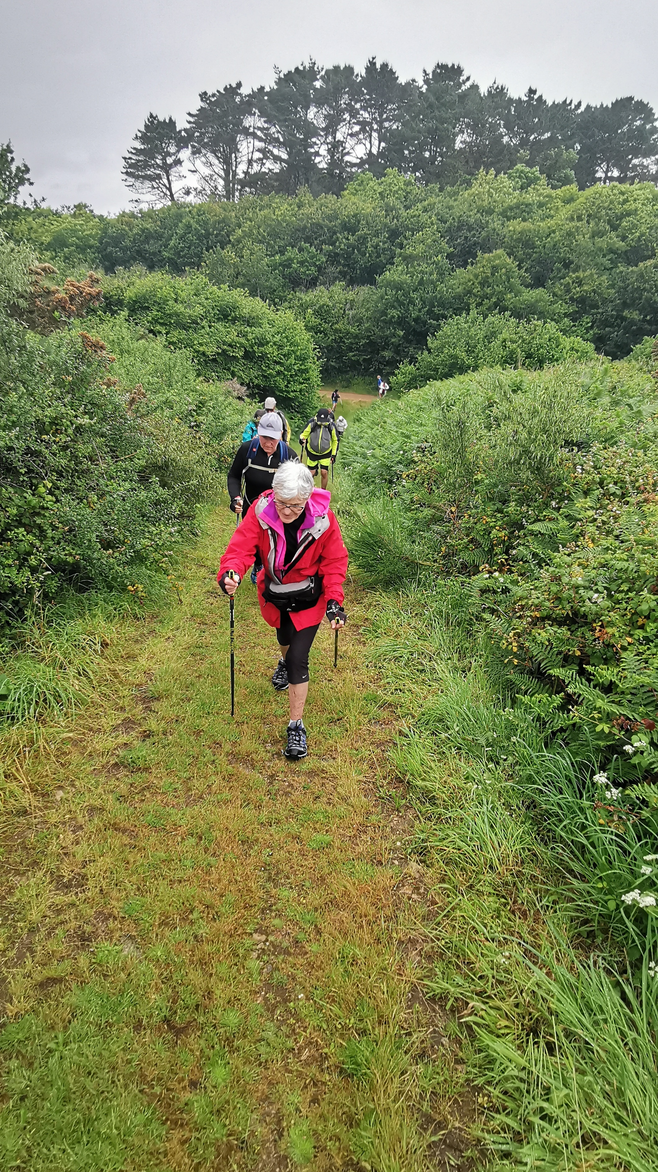 140-IMG_20210620_112636