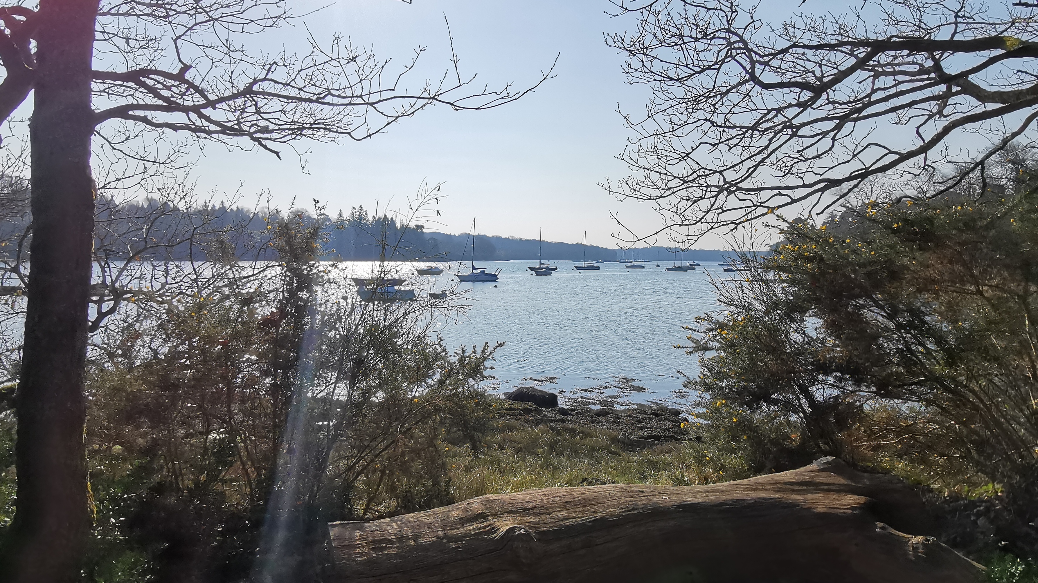 33-IMG_20210308_104817_1