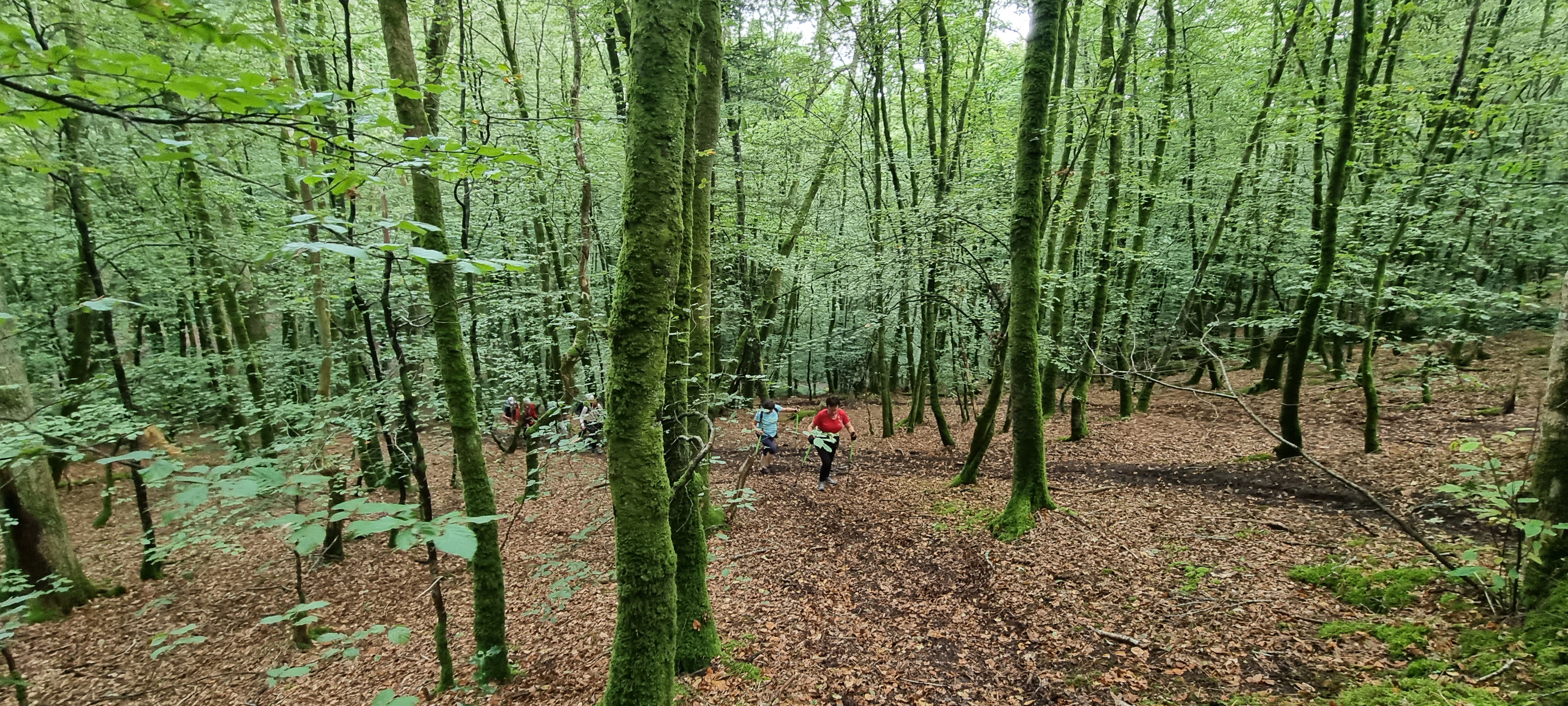 16-20210928_105800(0)