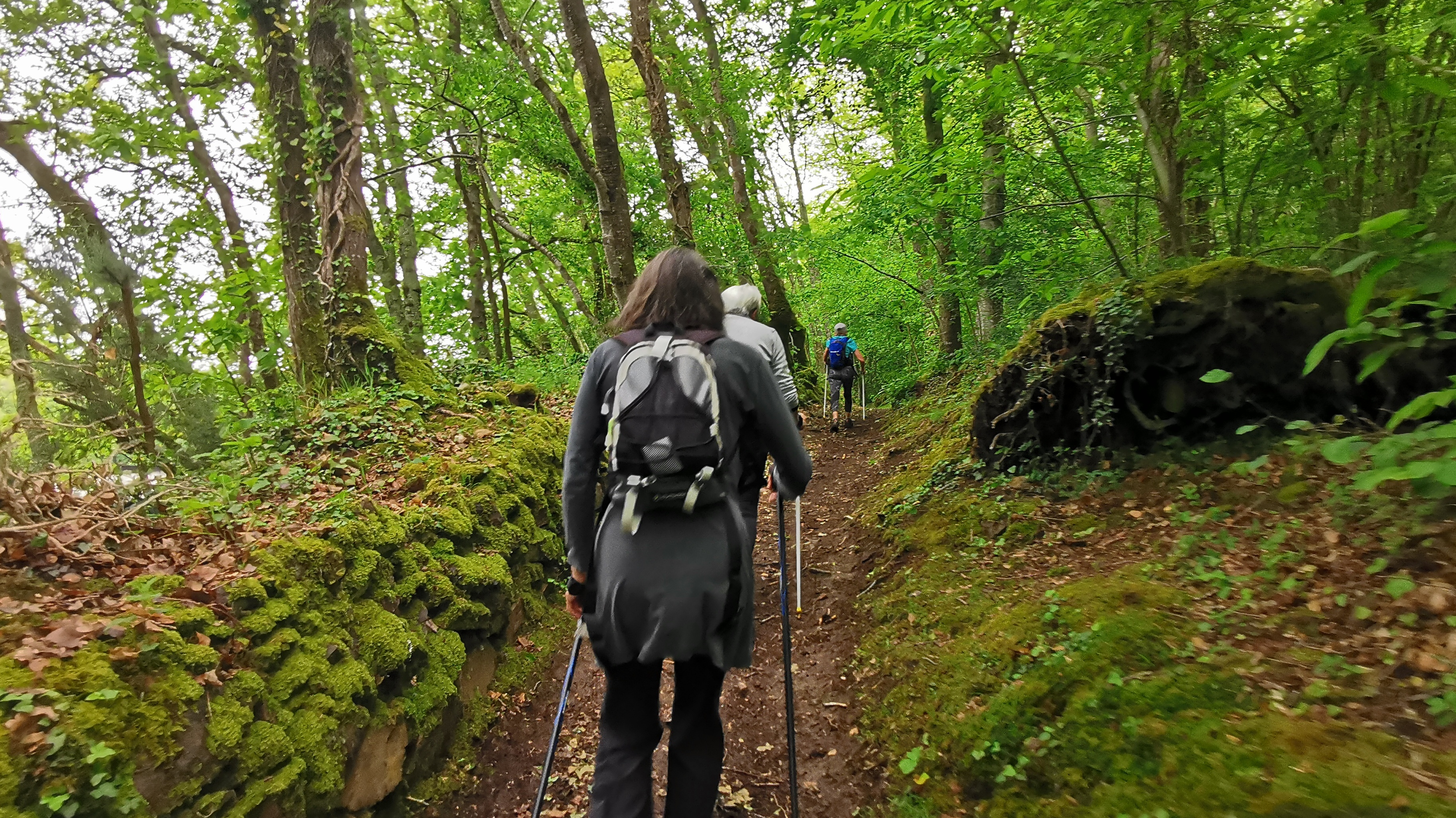 41-IMG_20210527_111532