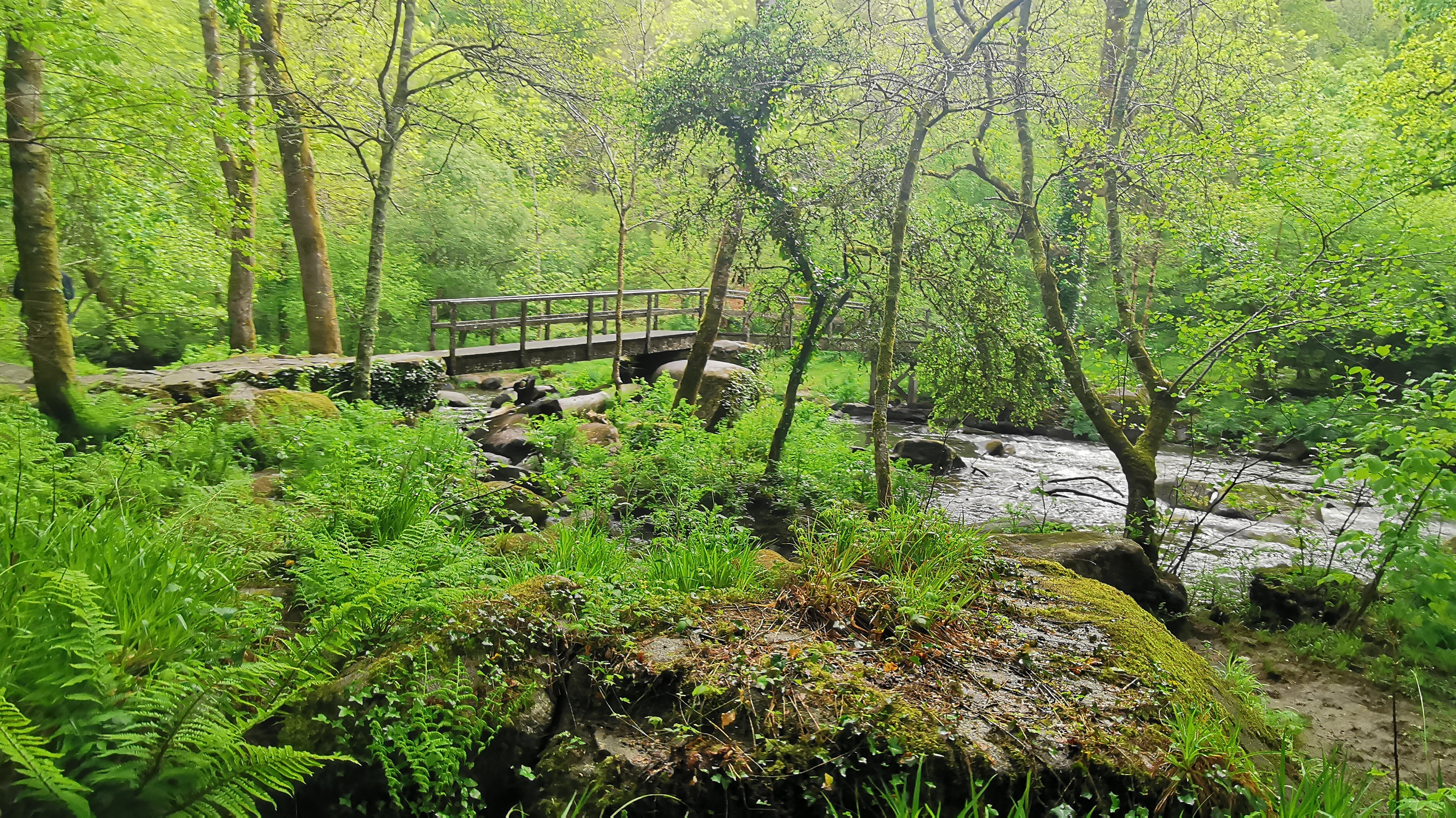 051-IMG_20210513_103042