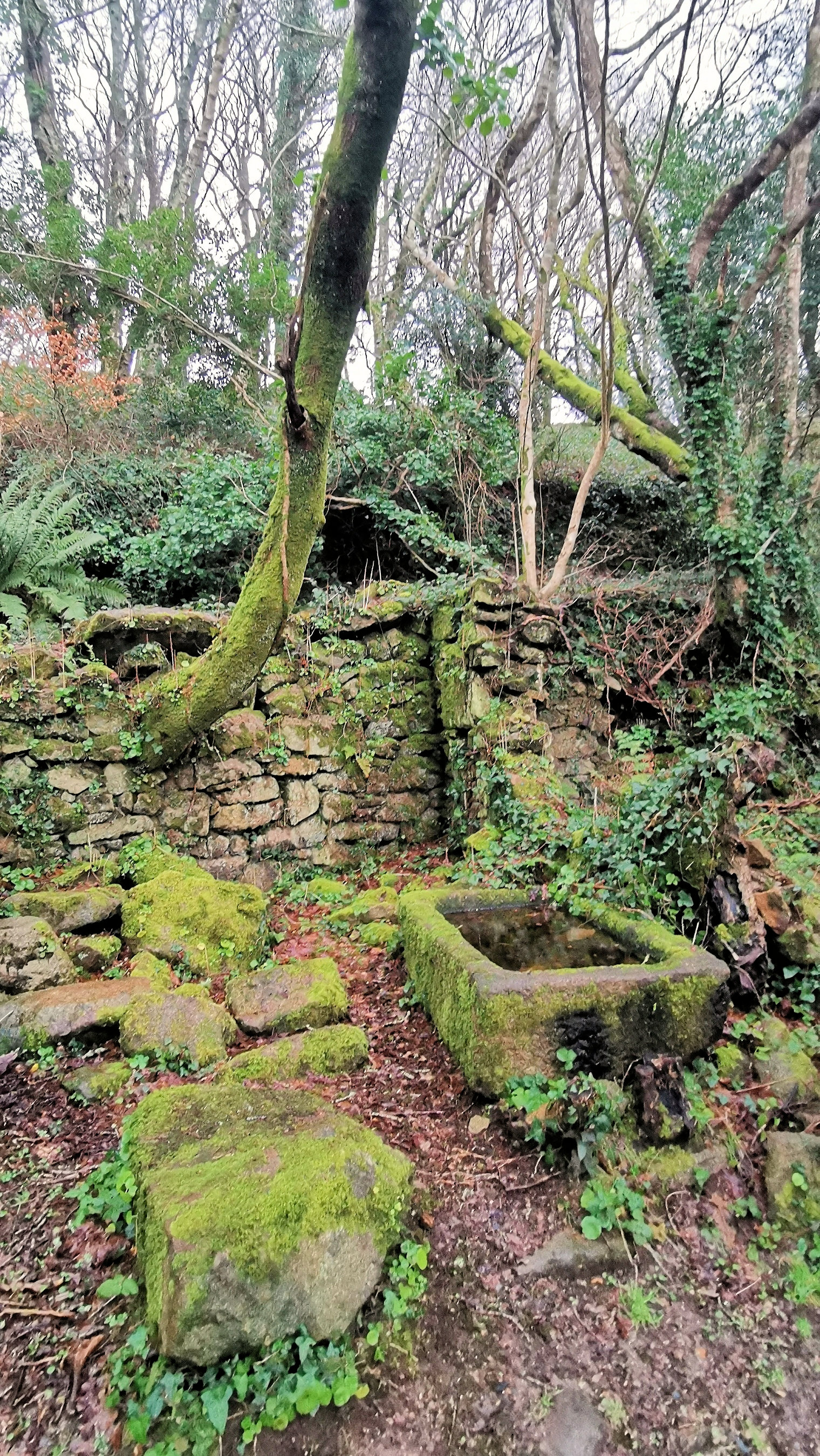 25-IMG_20210121_101611