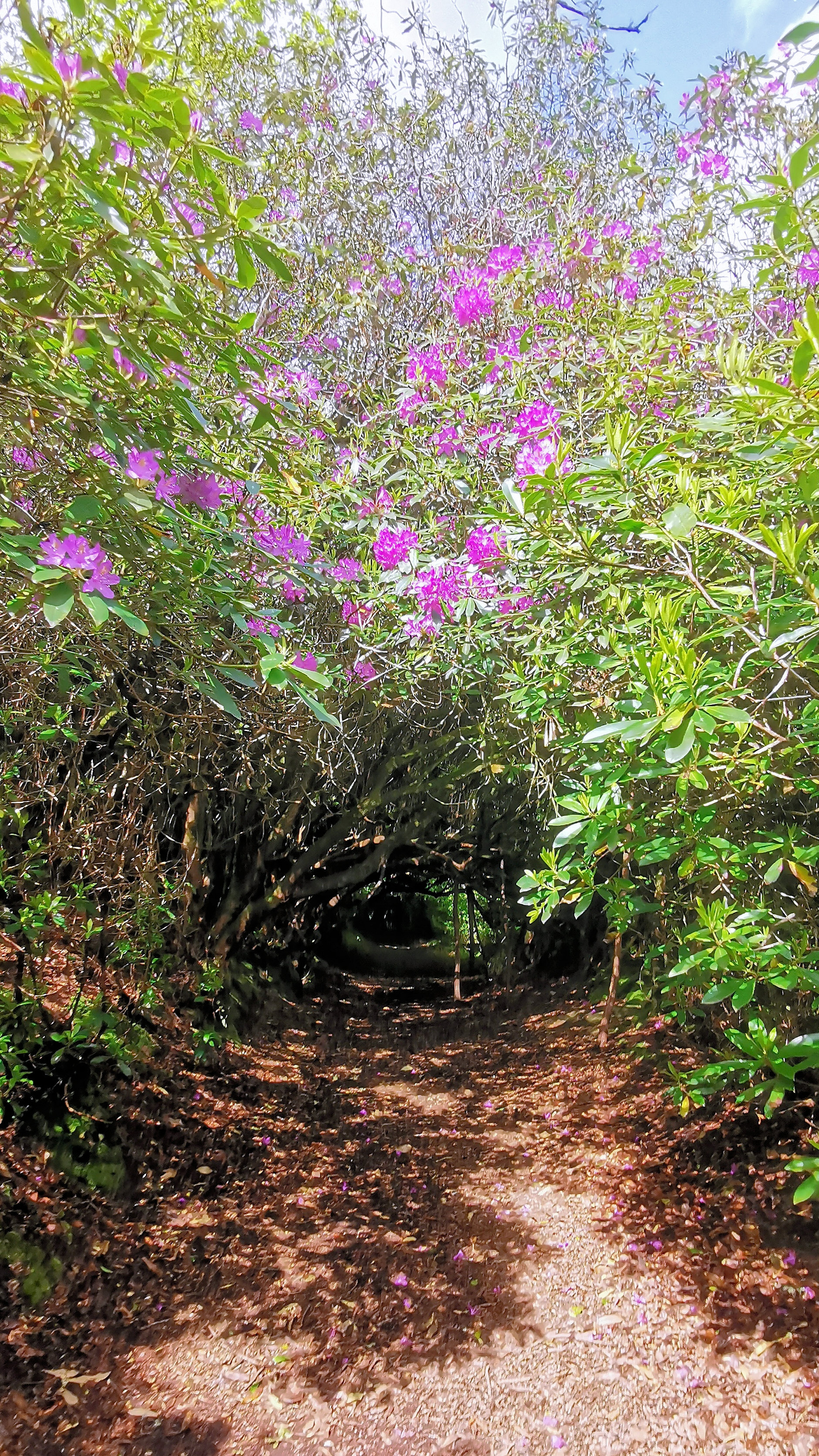 16-IMG_20210522_104840