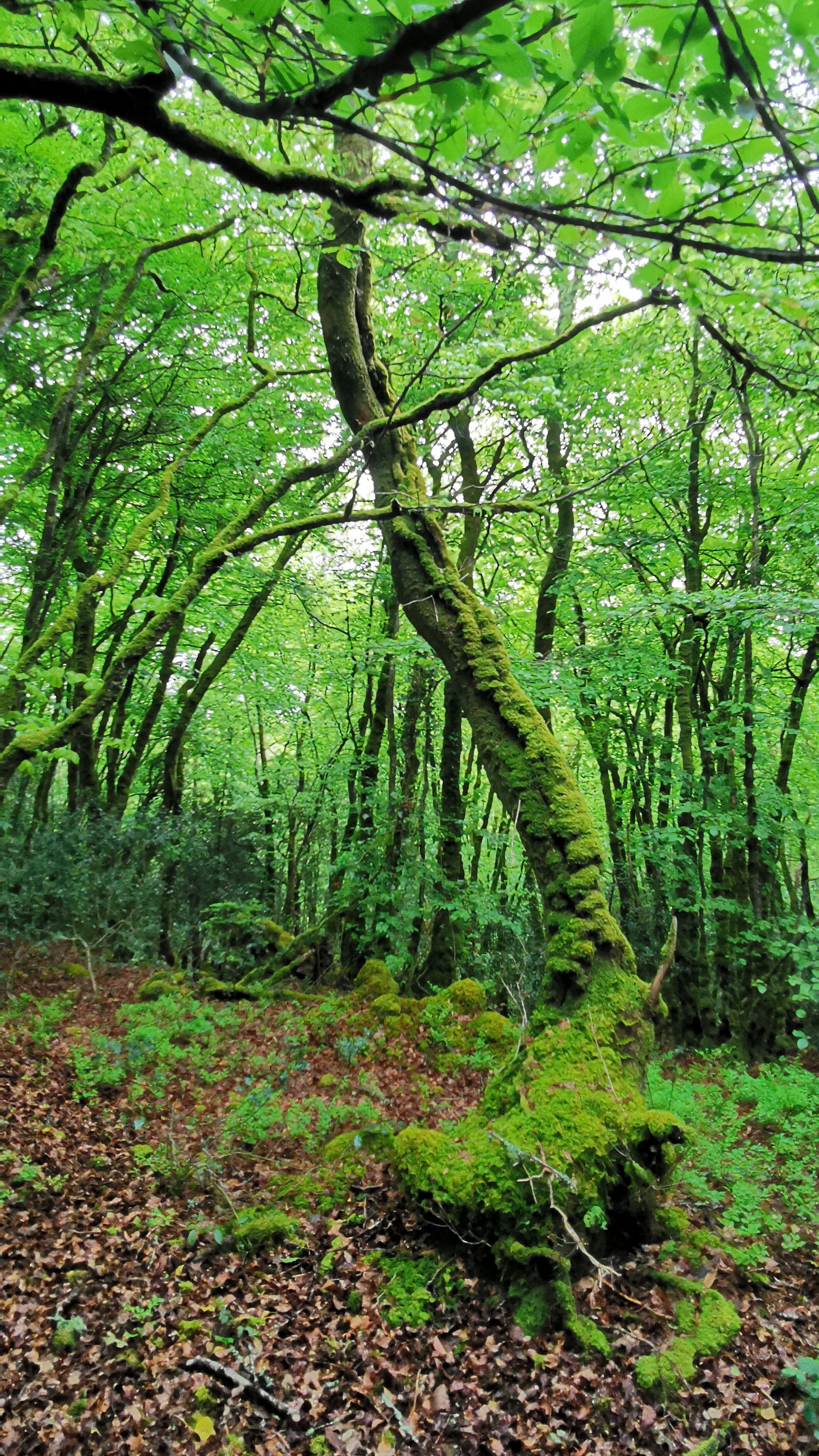 28-IMG_20210508_103813