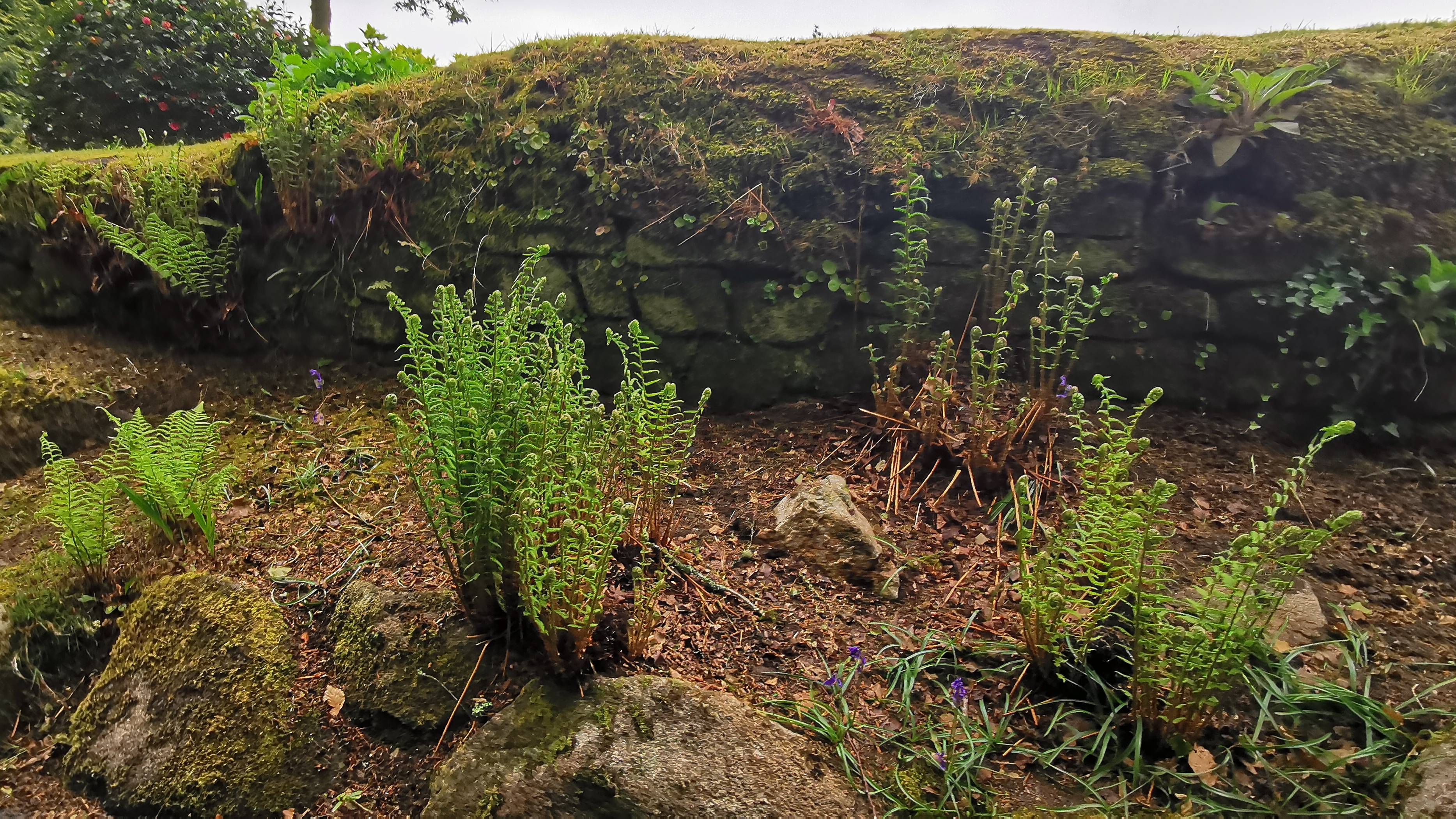 69-IMG_20210508_113043