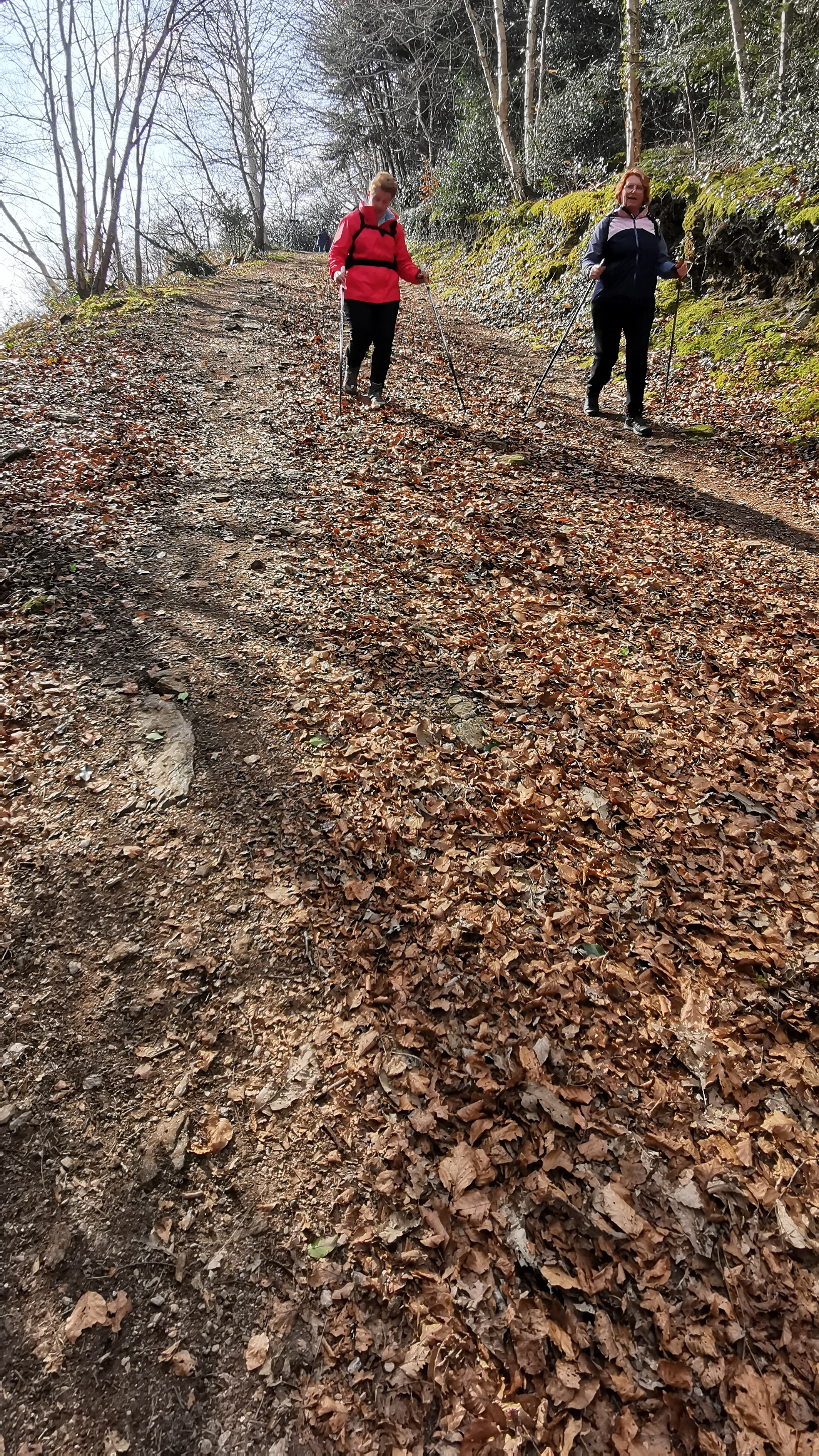 73-IMG_20210308_114633