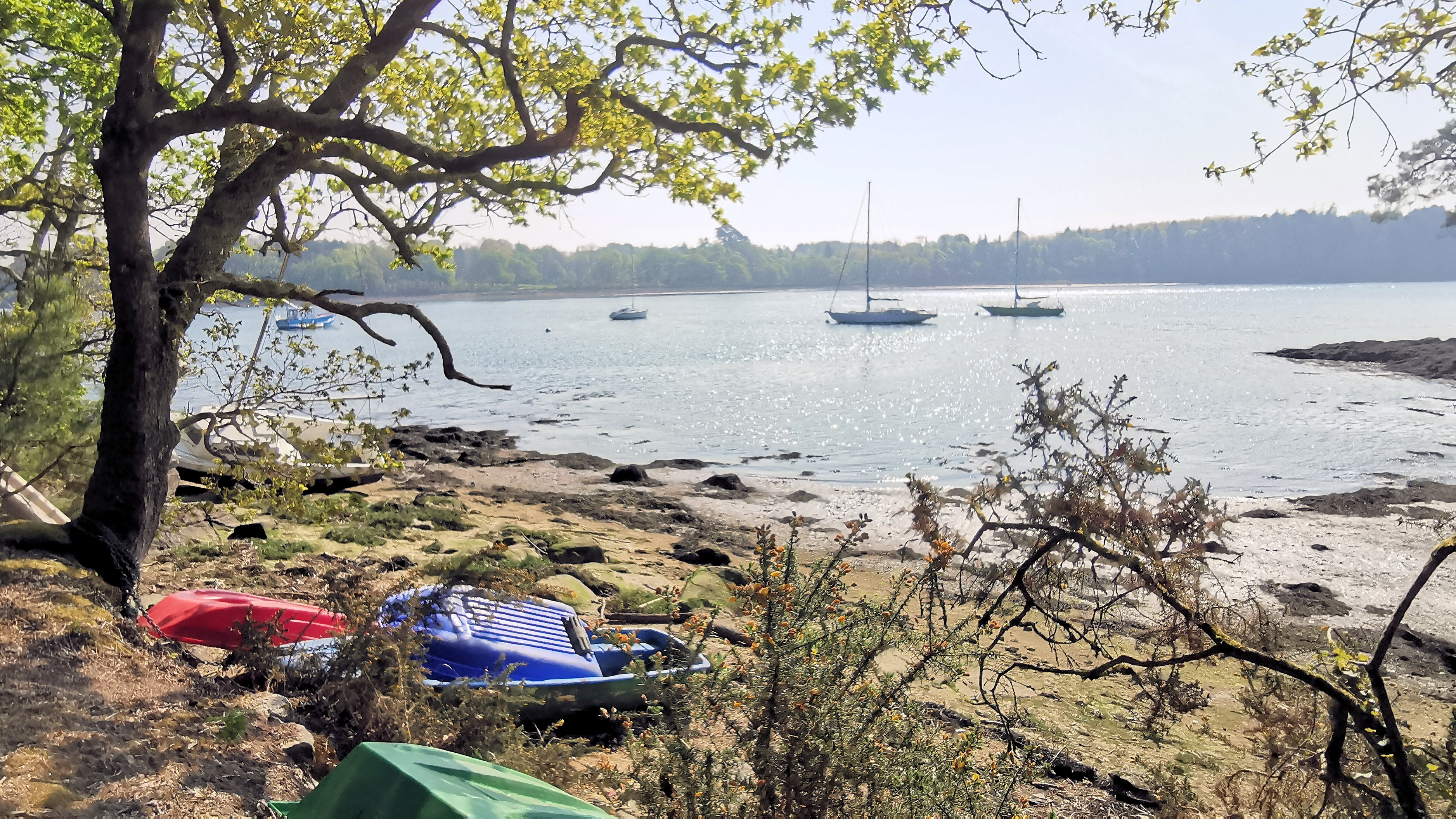 51-IMG_20210422_111234