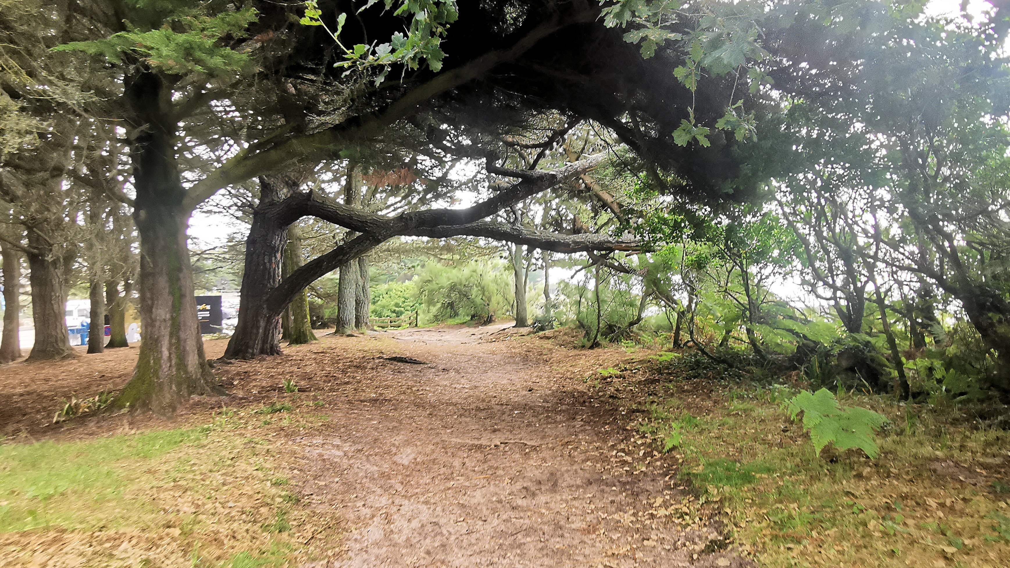 16-IMG_20210726_105124_1