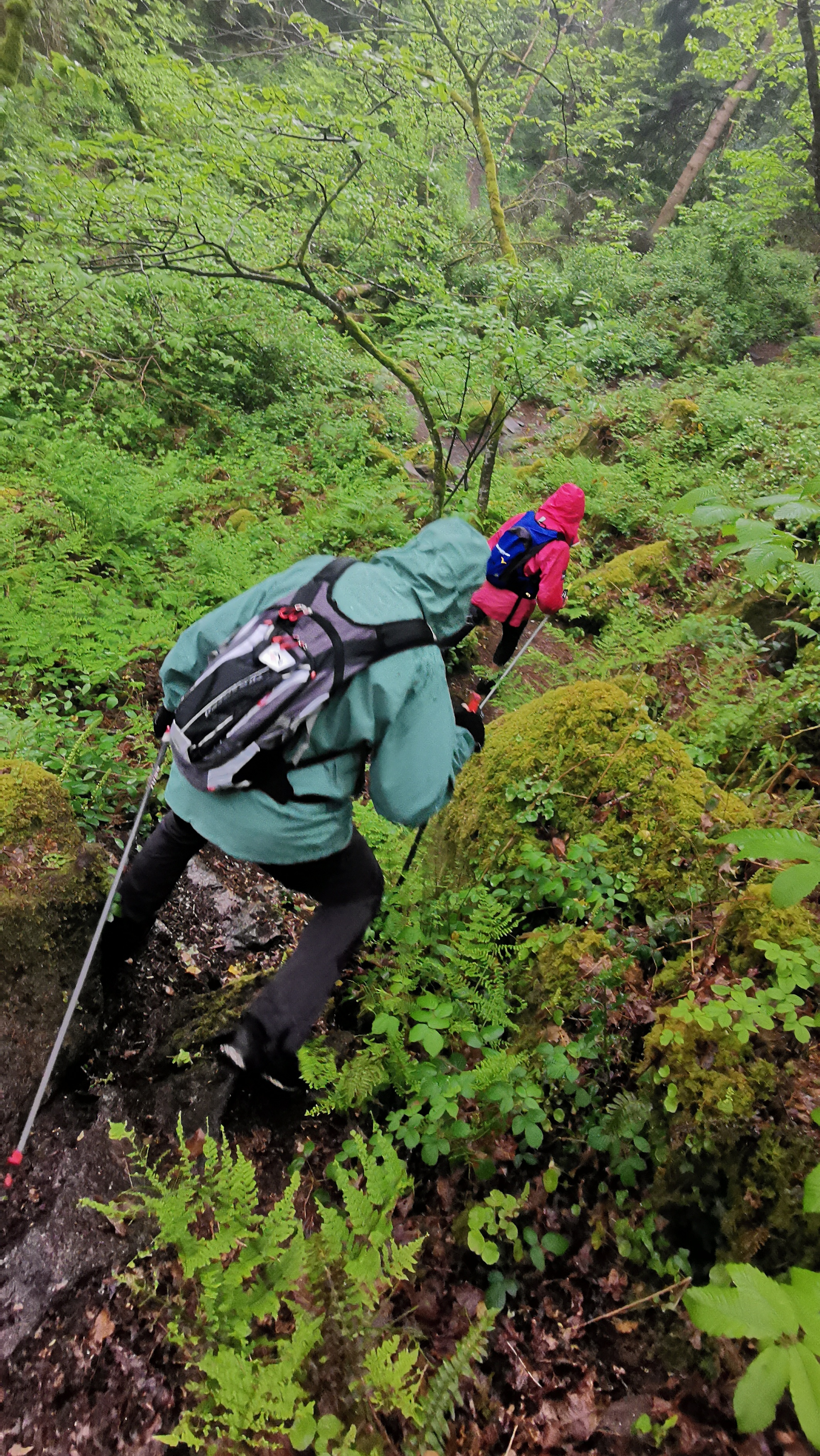 009-IMG_20210513_094253