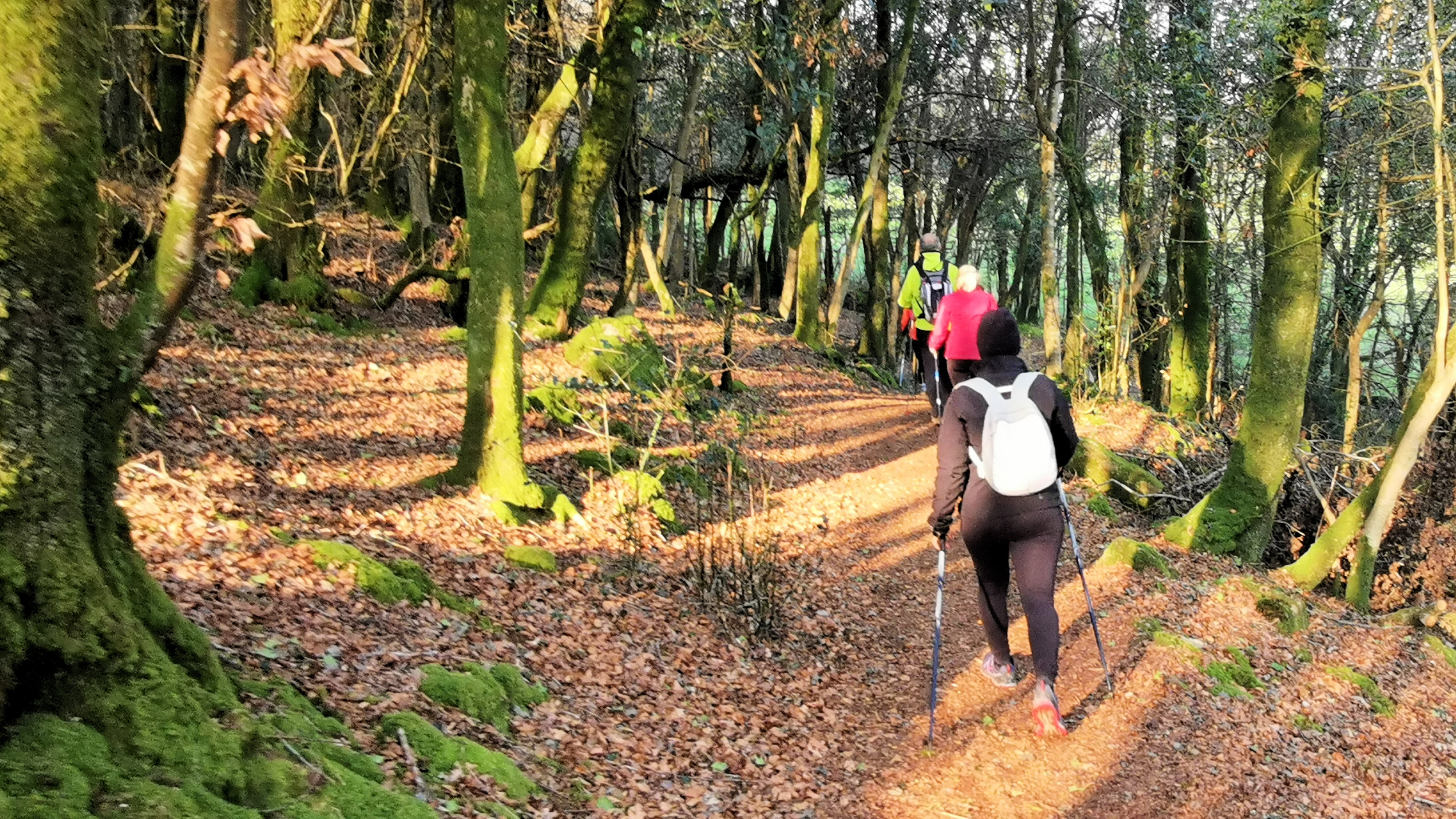 02-IMG_20210307_094452