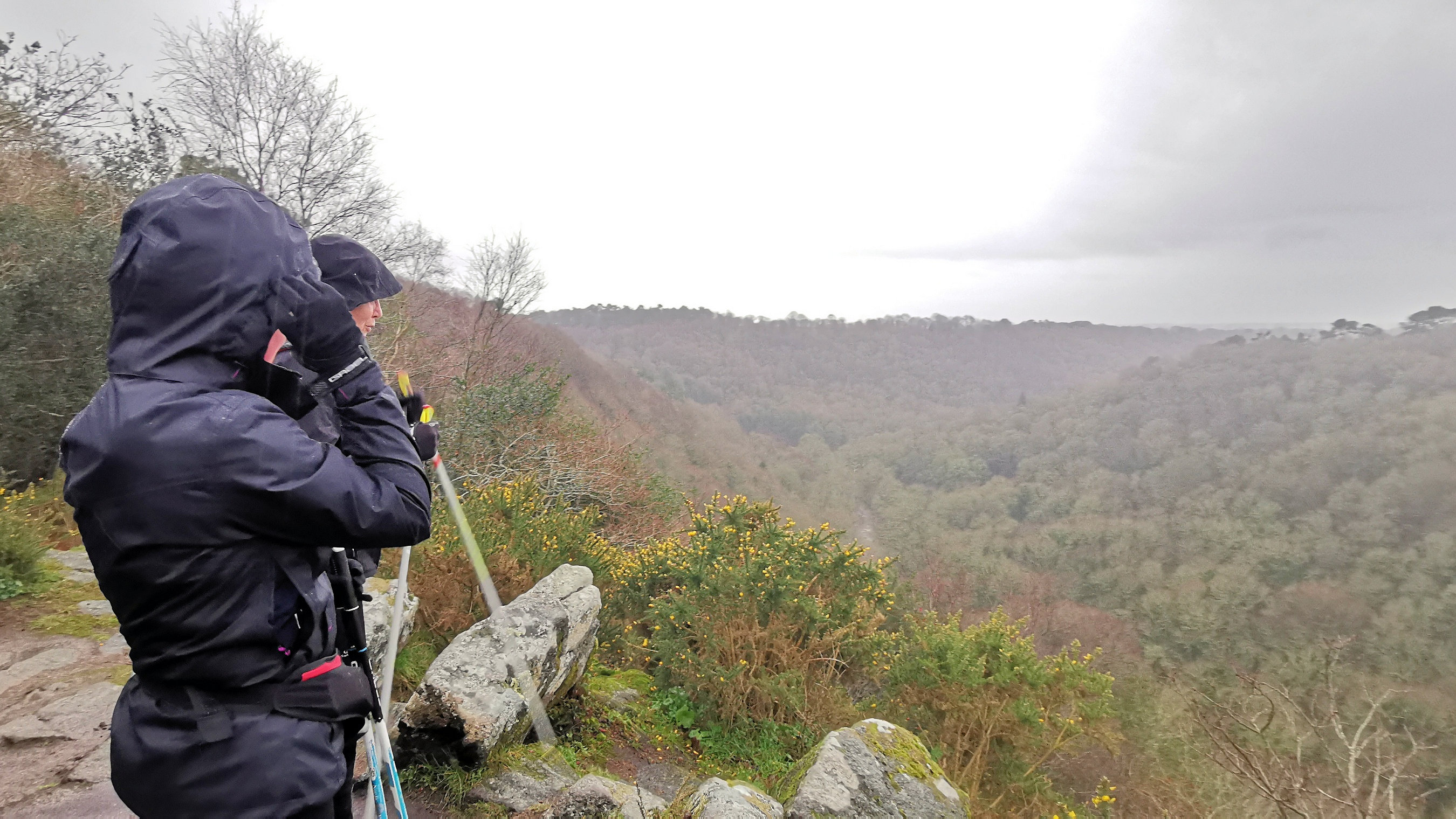 29-IMG_20210121_102324