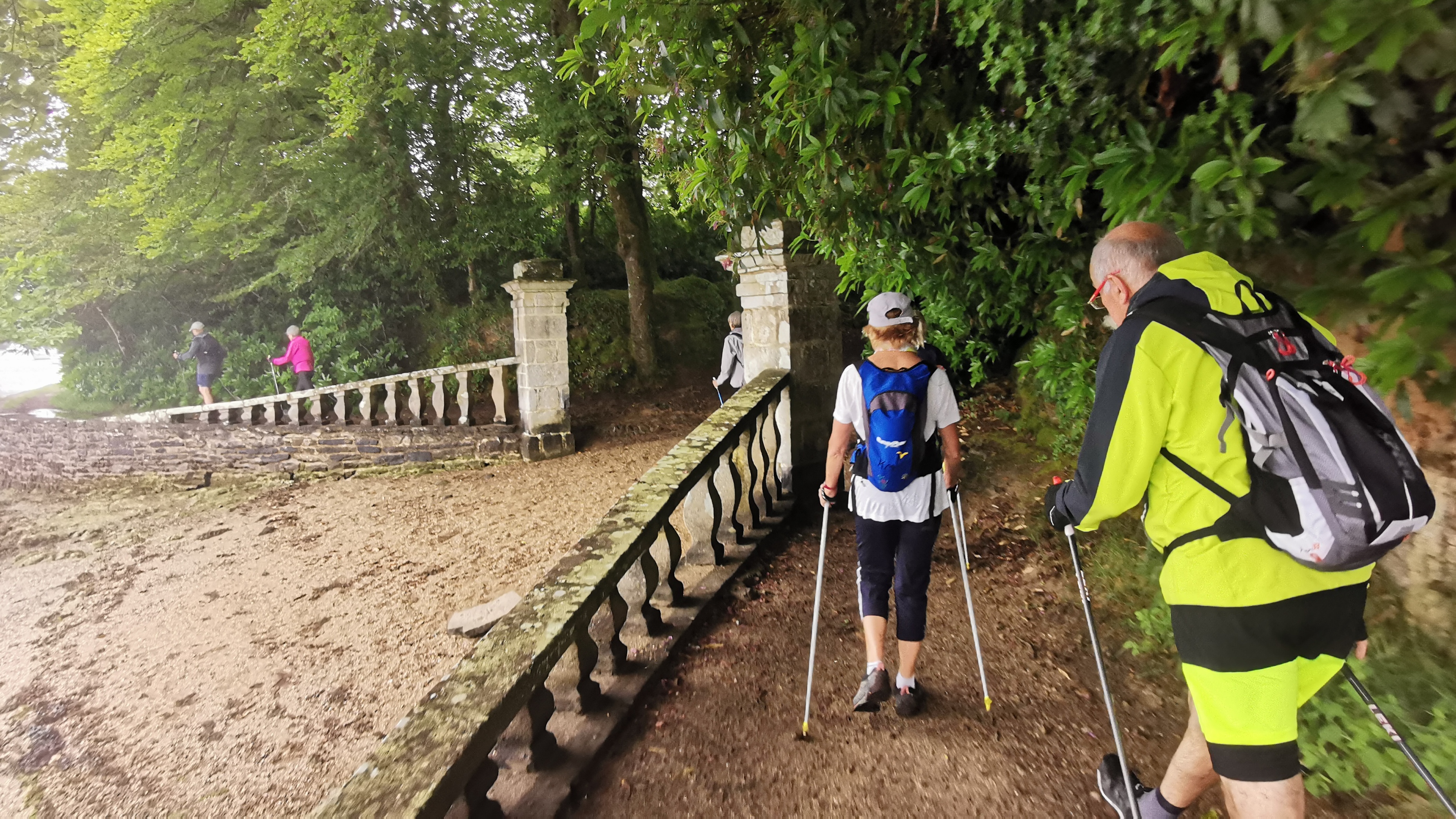 17-IMG_20210617_103226