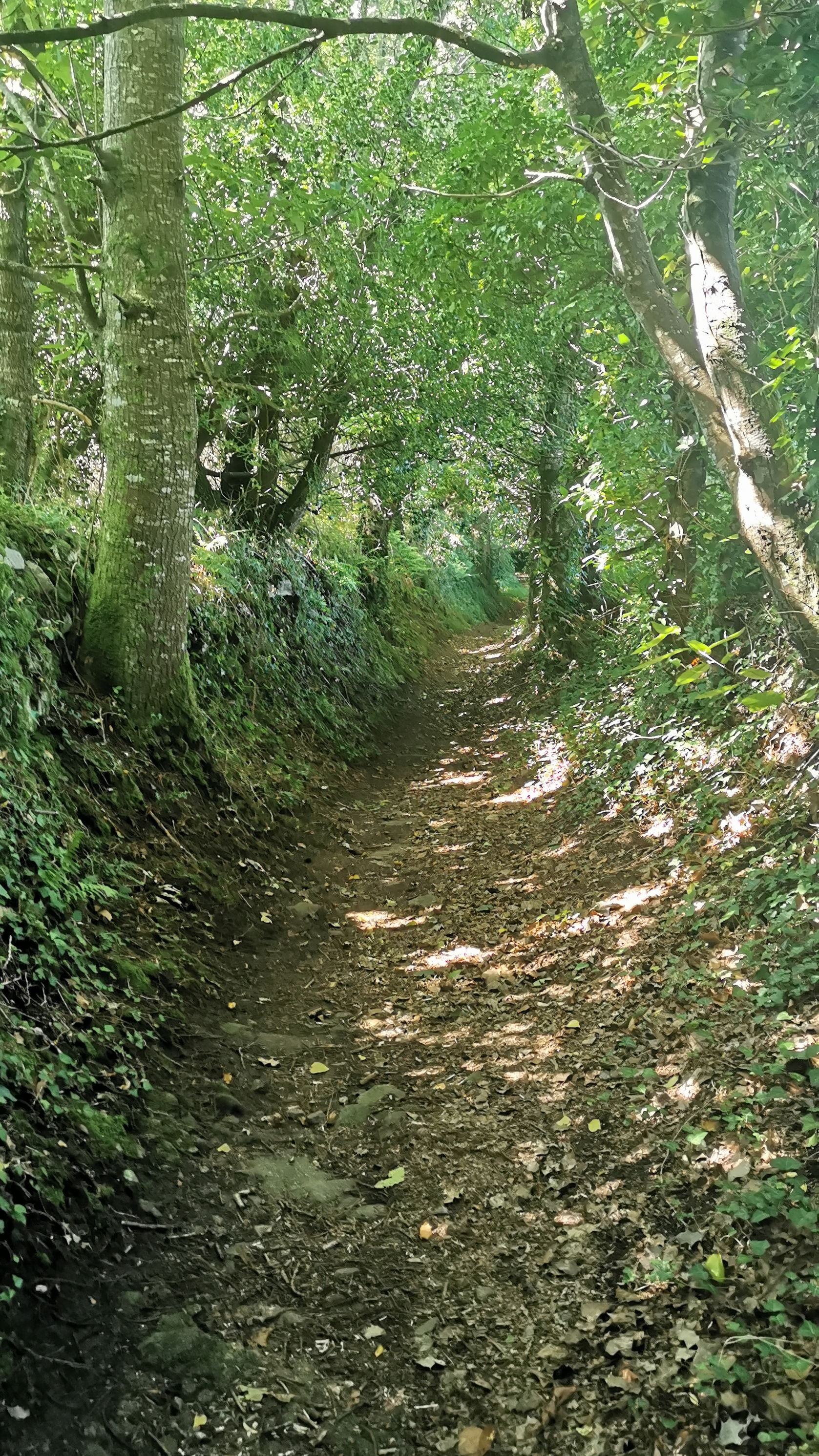 37-IMG_20210812_115015