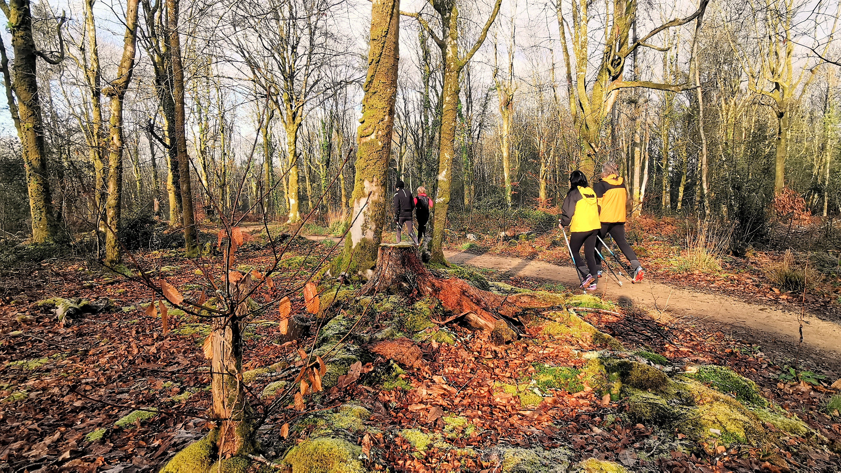 55-IMG_20210107_111713_1