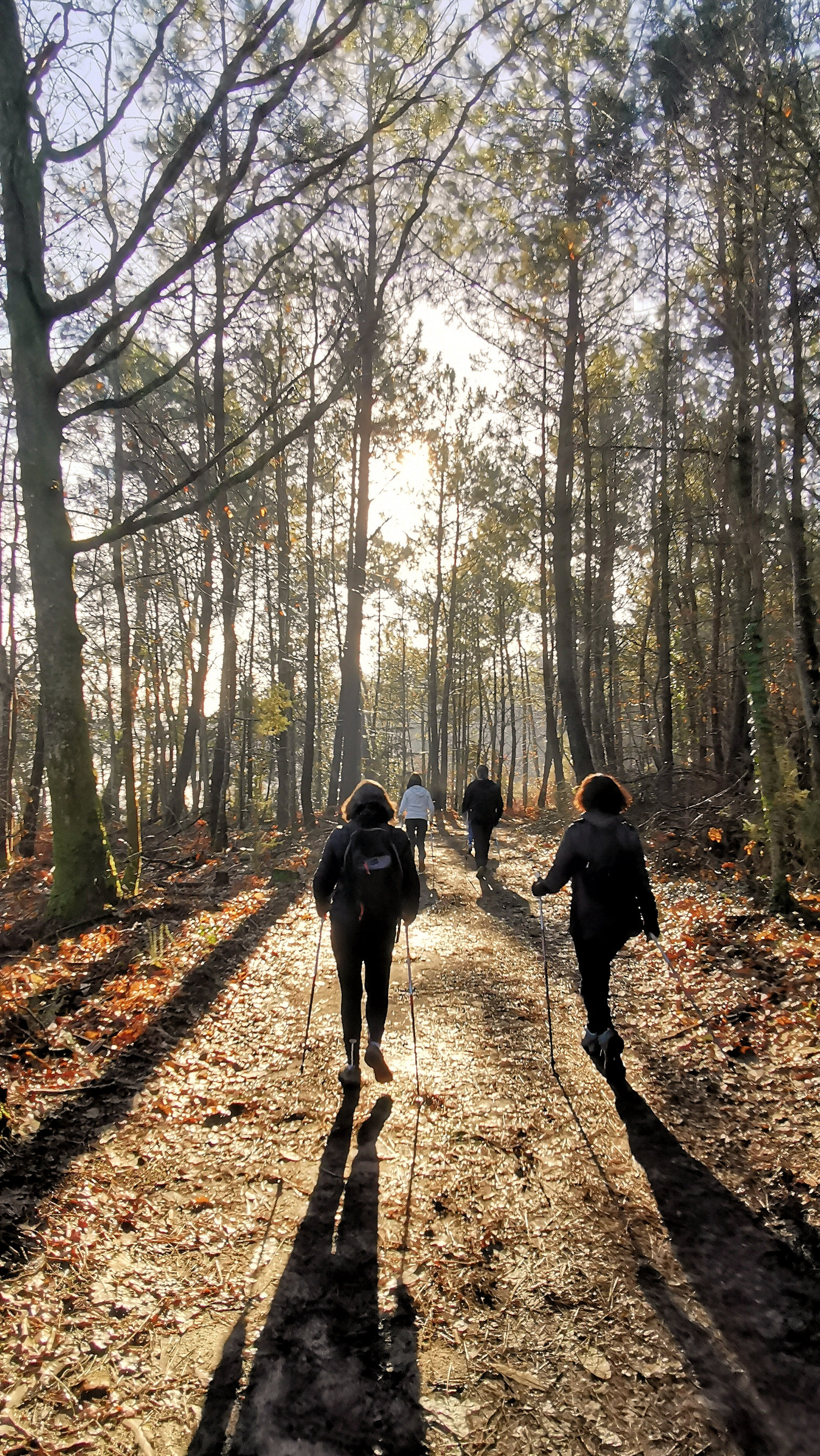 29-IMG_20210206_105733_1