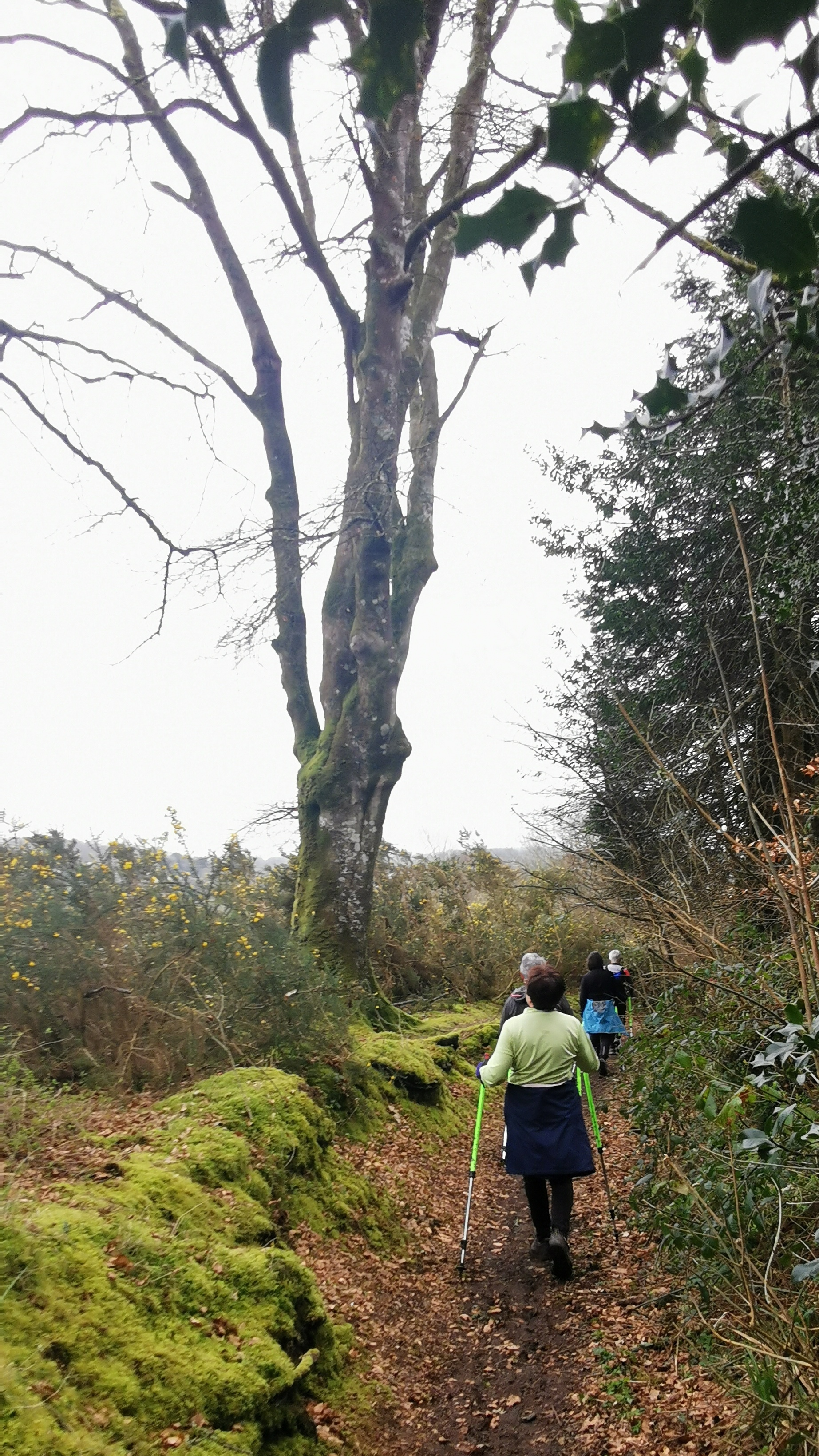 40-IMG_20210316_104832