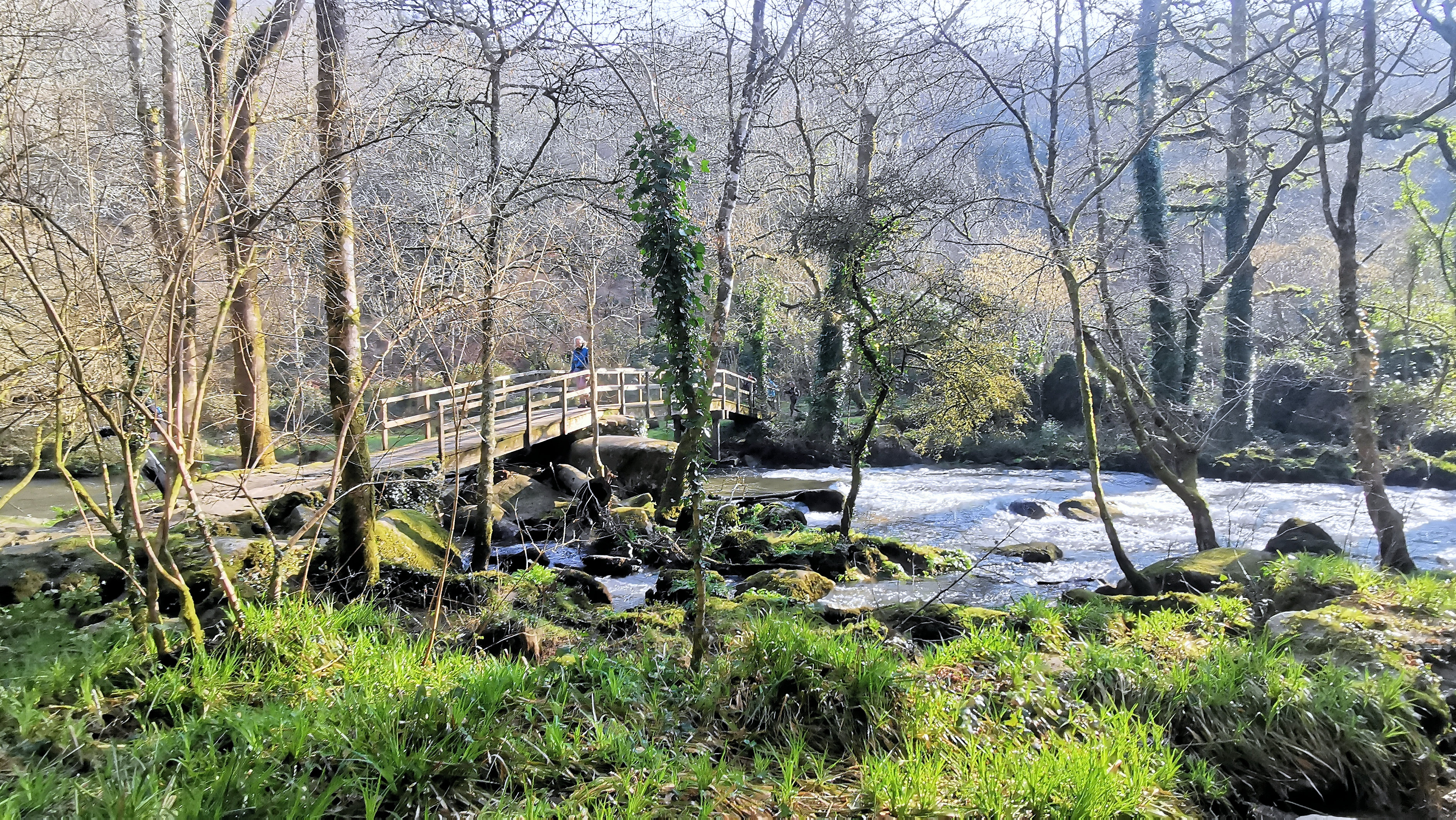 52-IMG_20210307_104104