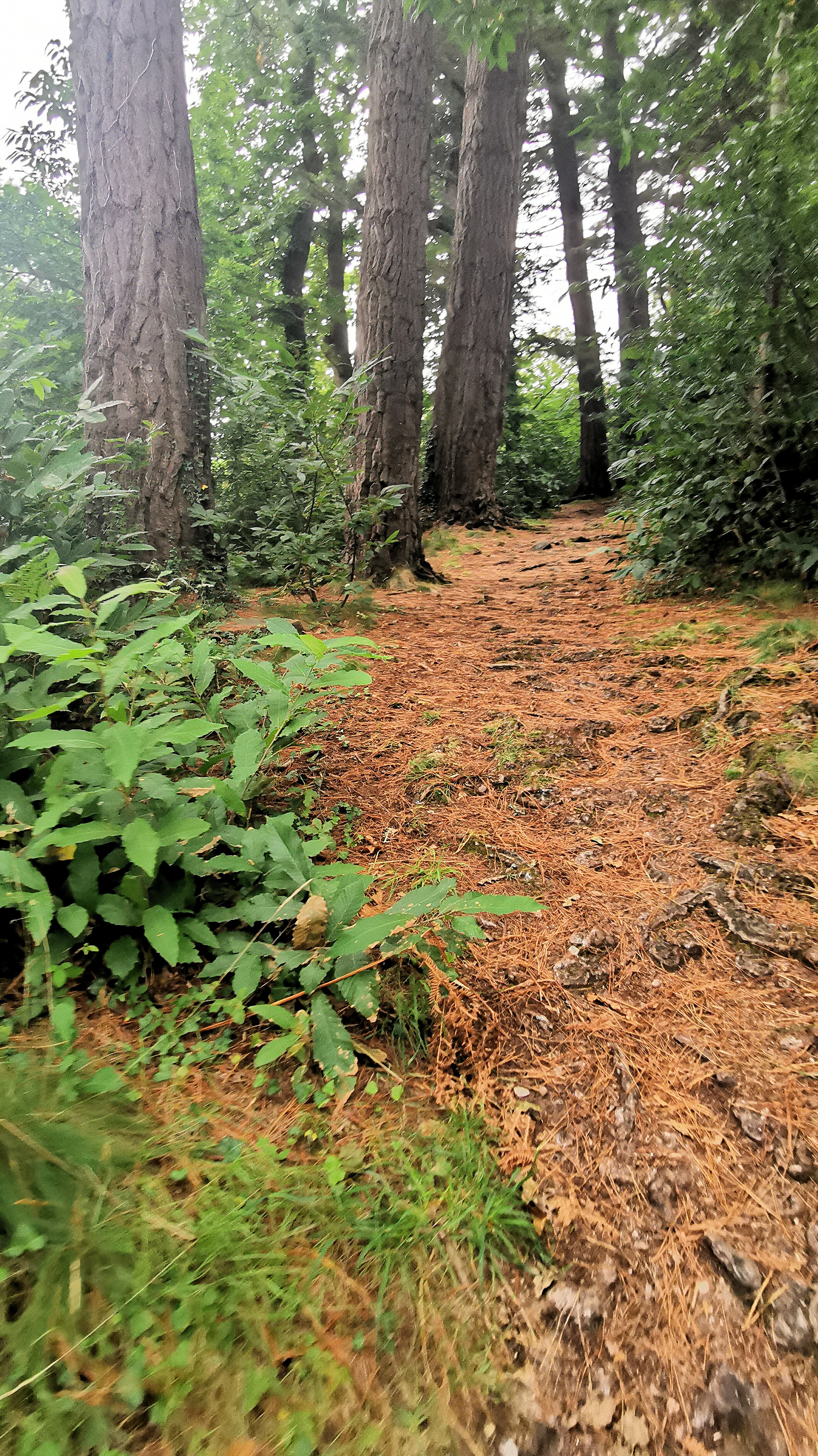 047-IMG_20210817_094417