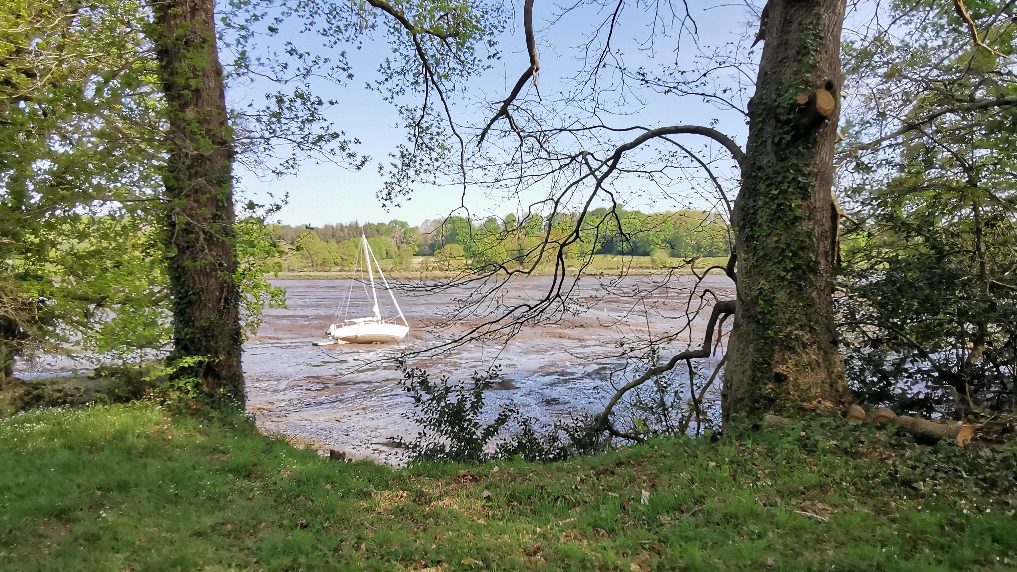 79-IMG_20210425_111840_1