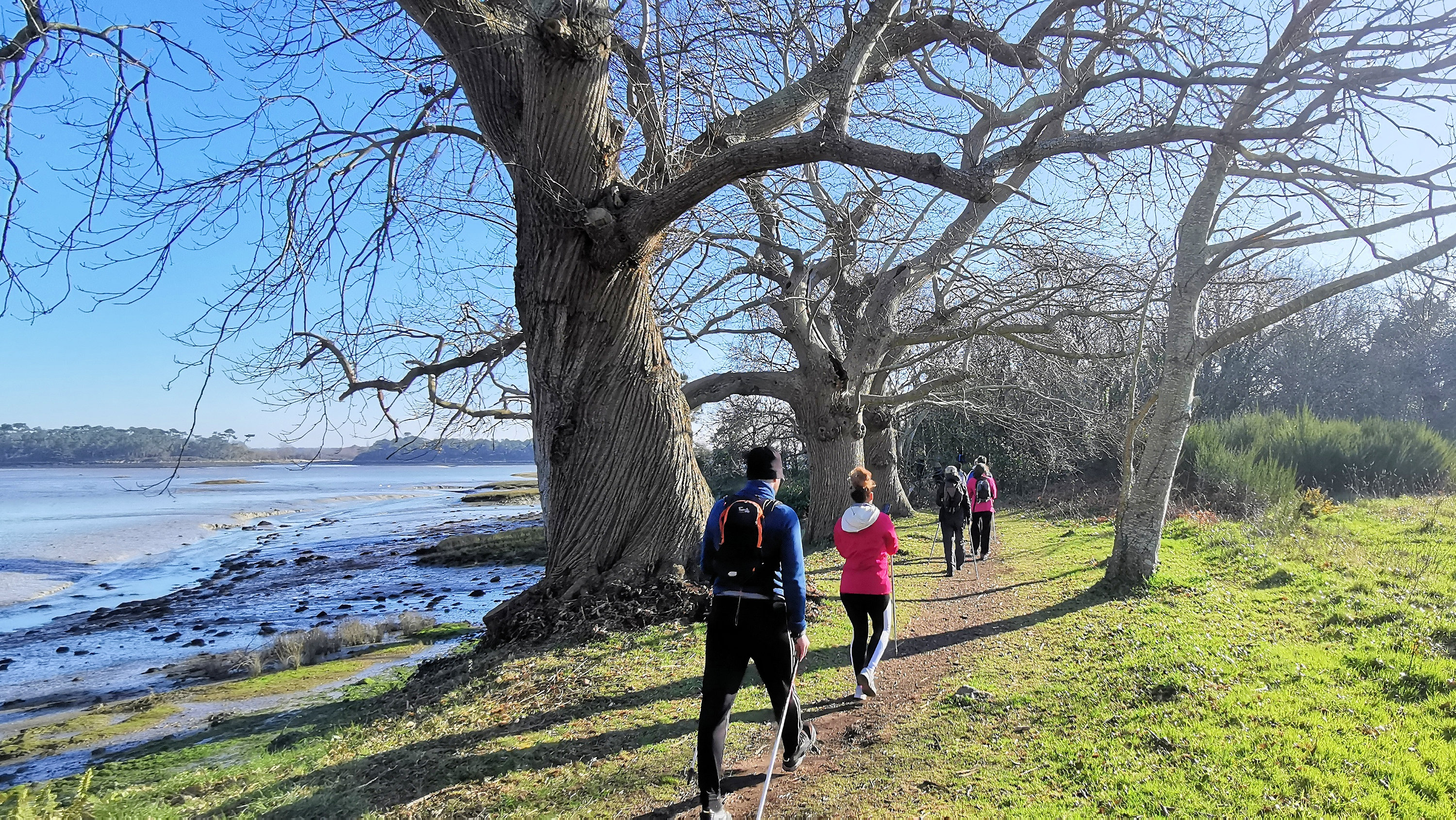 038-IMG_20210228_101347