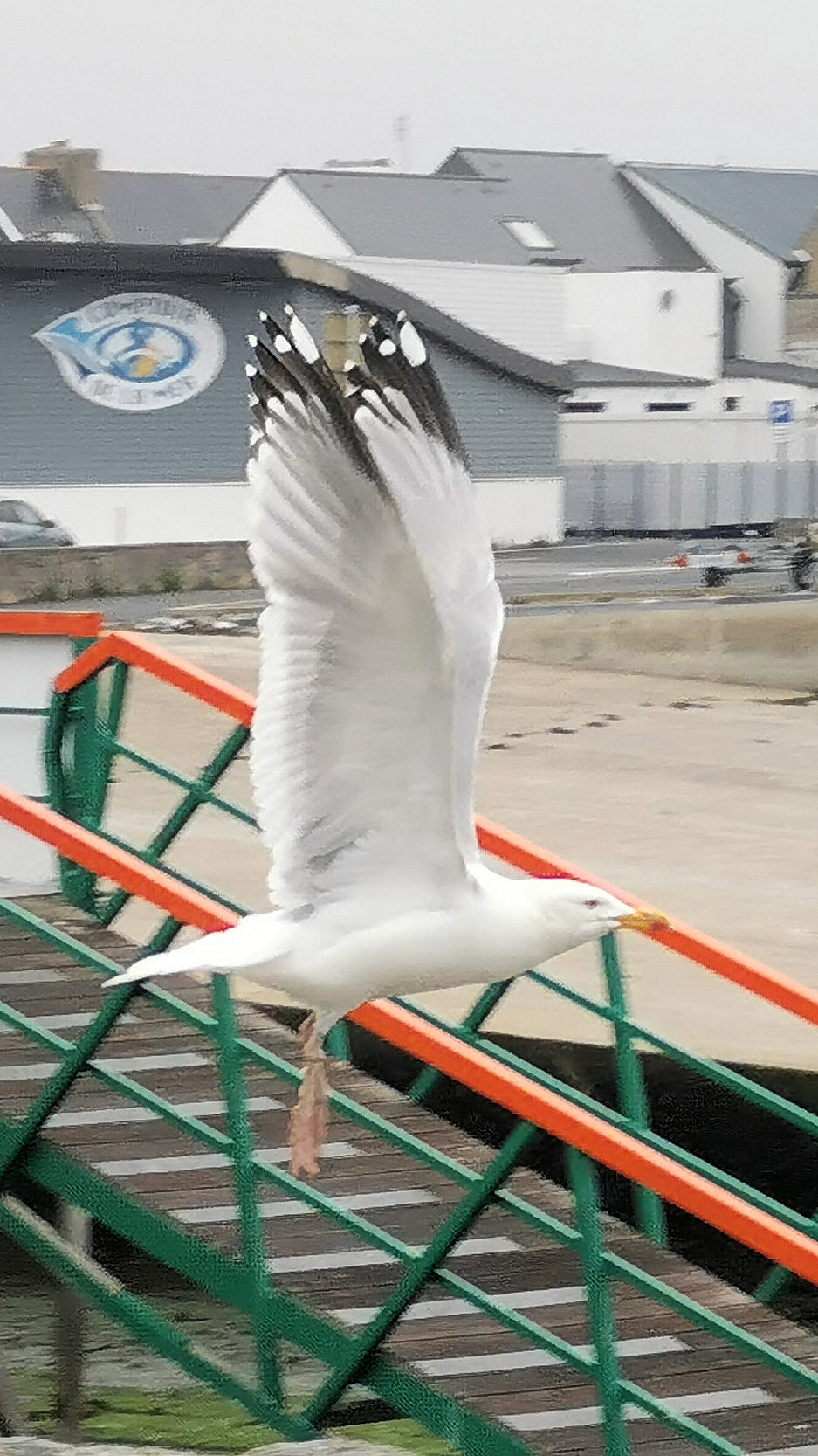 032-IMG_20210509_095839