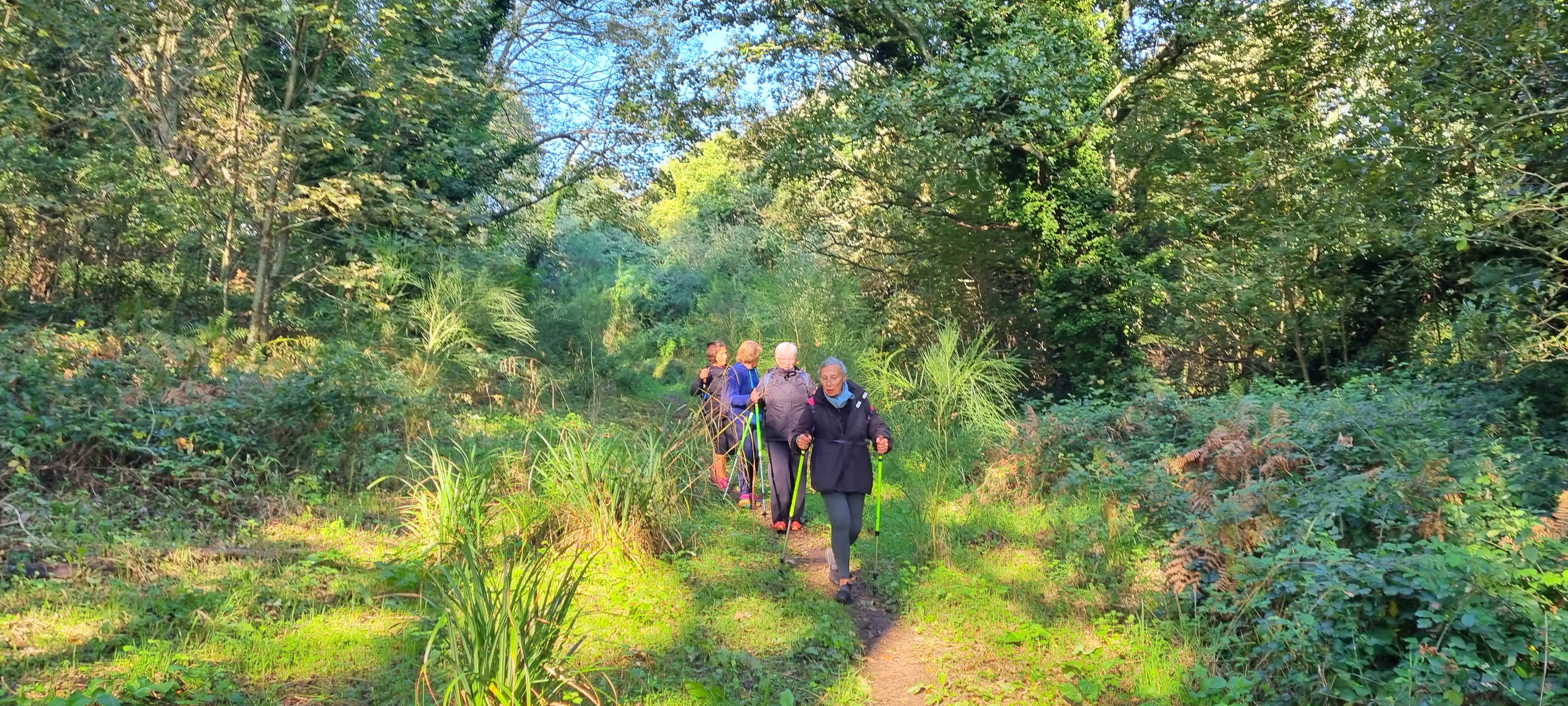 36-20211011_110706(0)