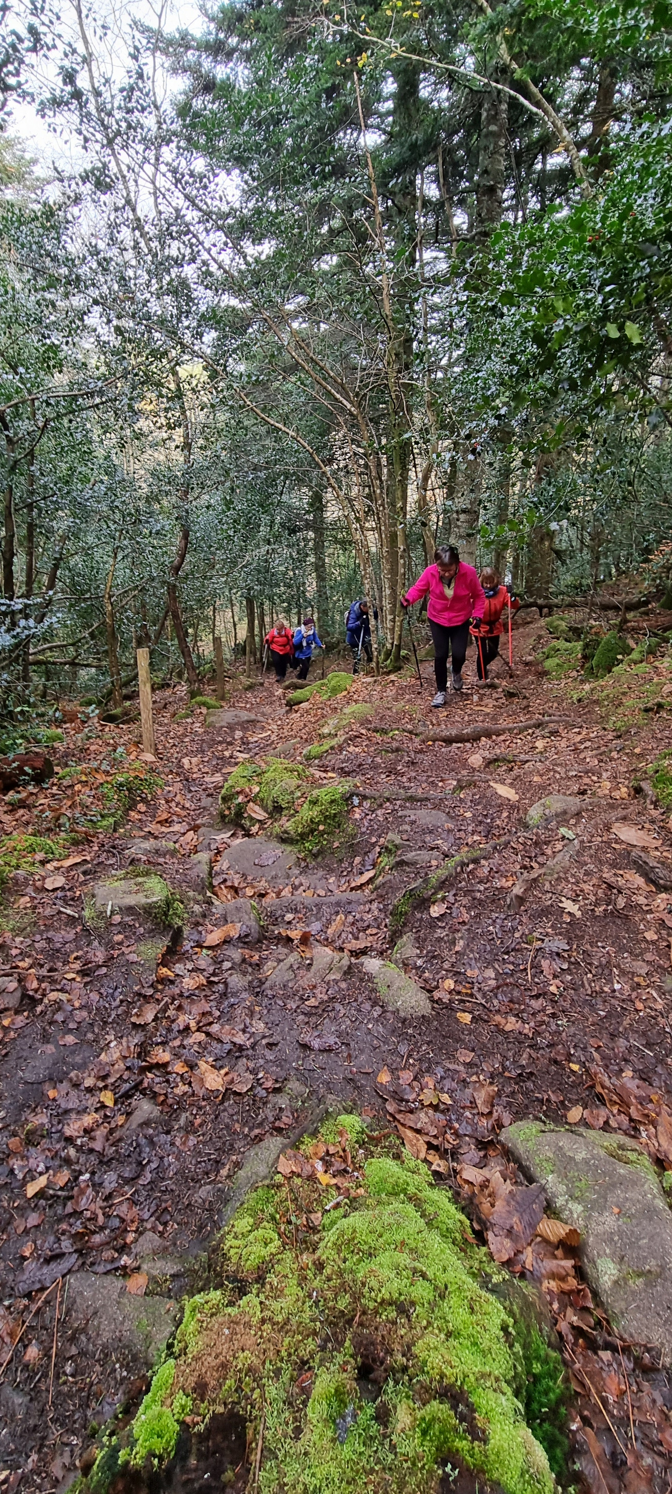 71-20211129_112819(0)