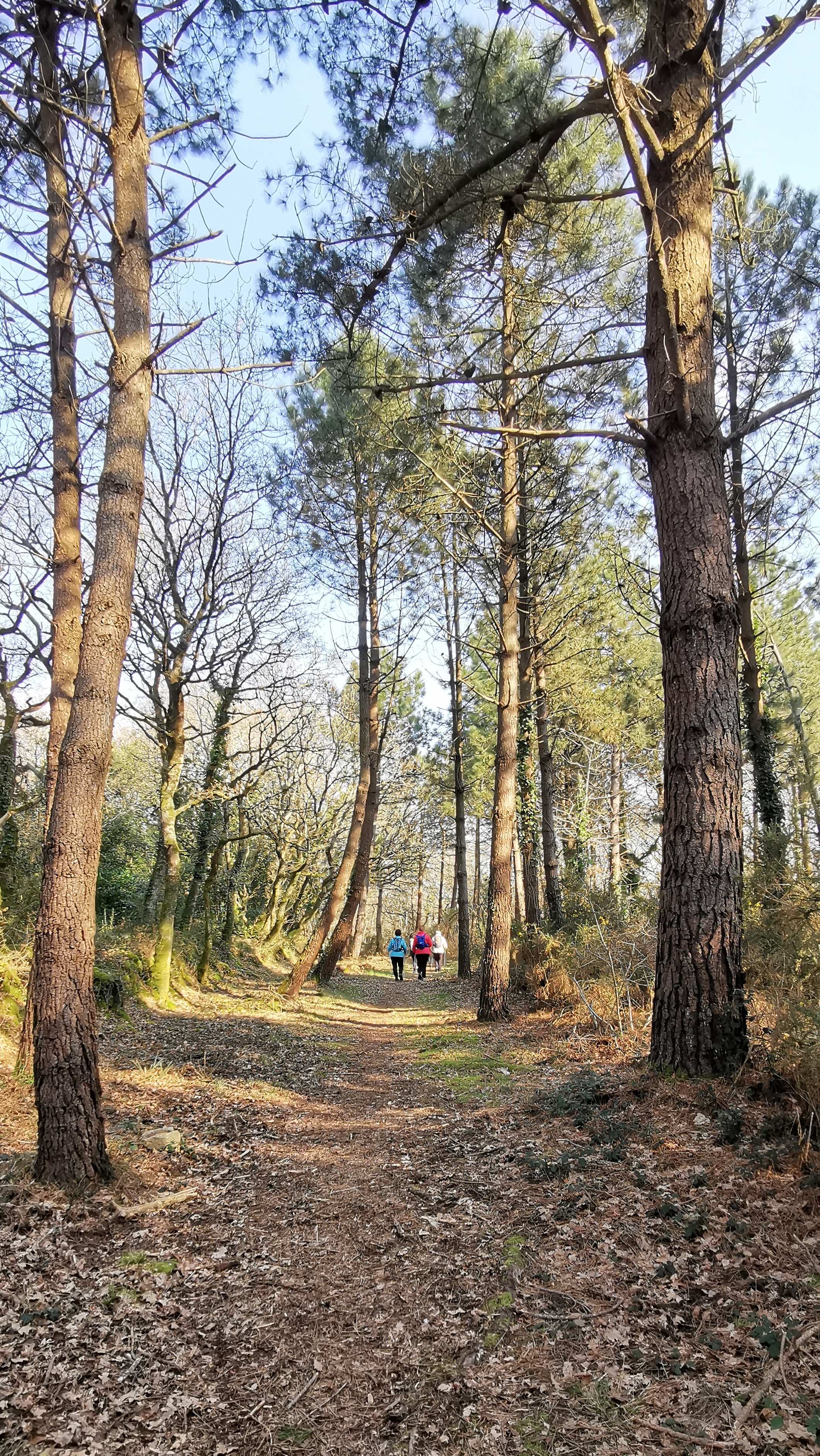 47-IMG_20210308_111243