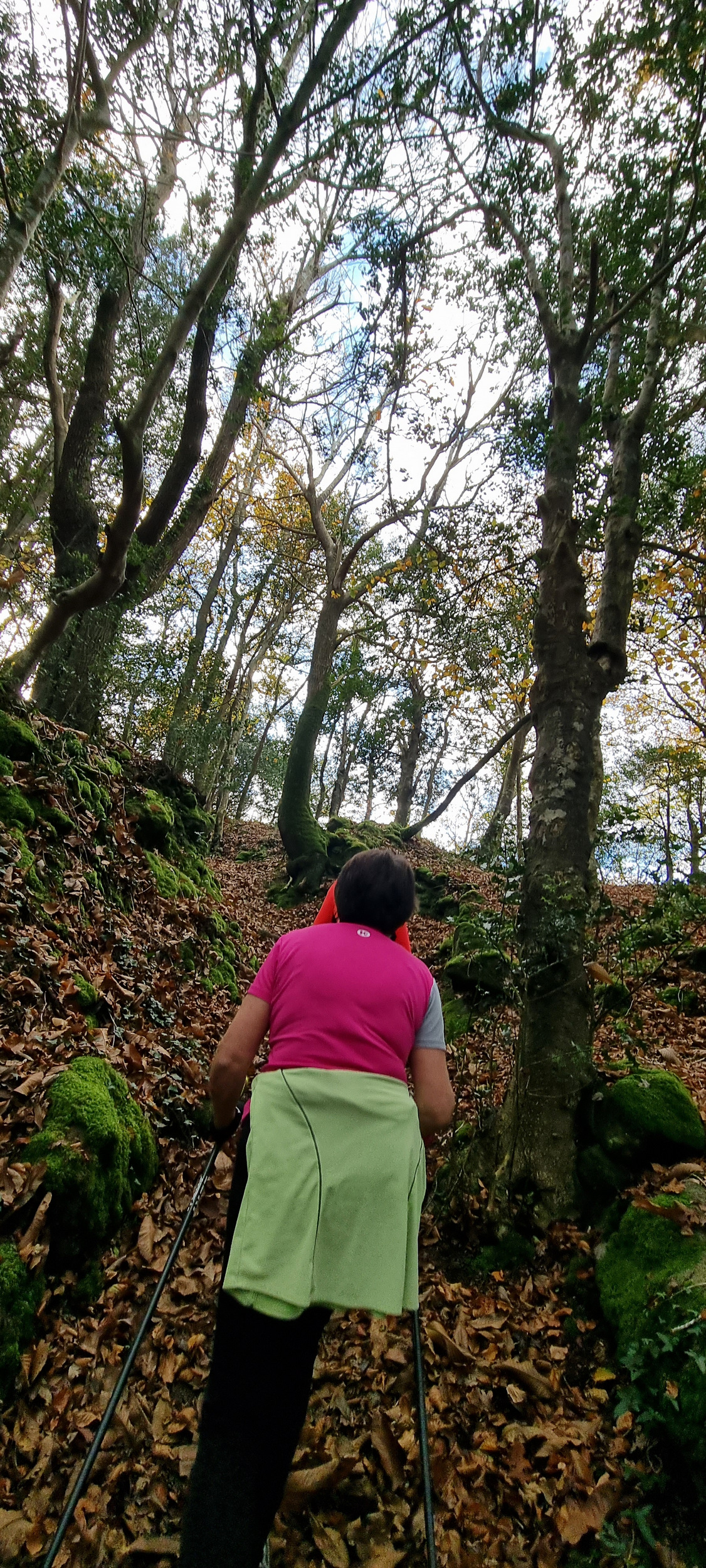 35-20211115_104157(0)